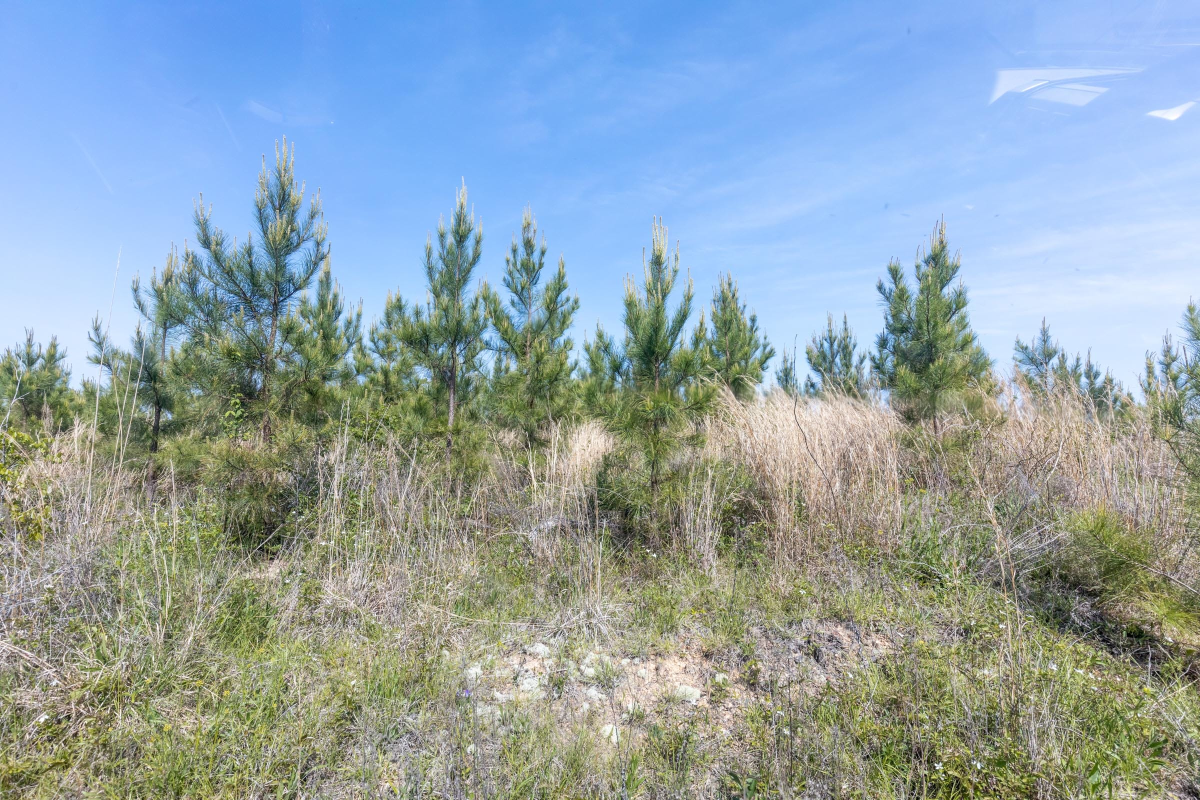 Clear Wood Tract 30 photo 26