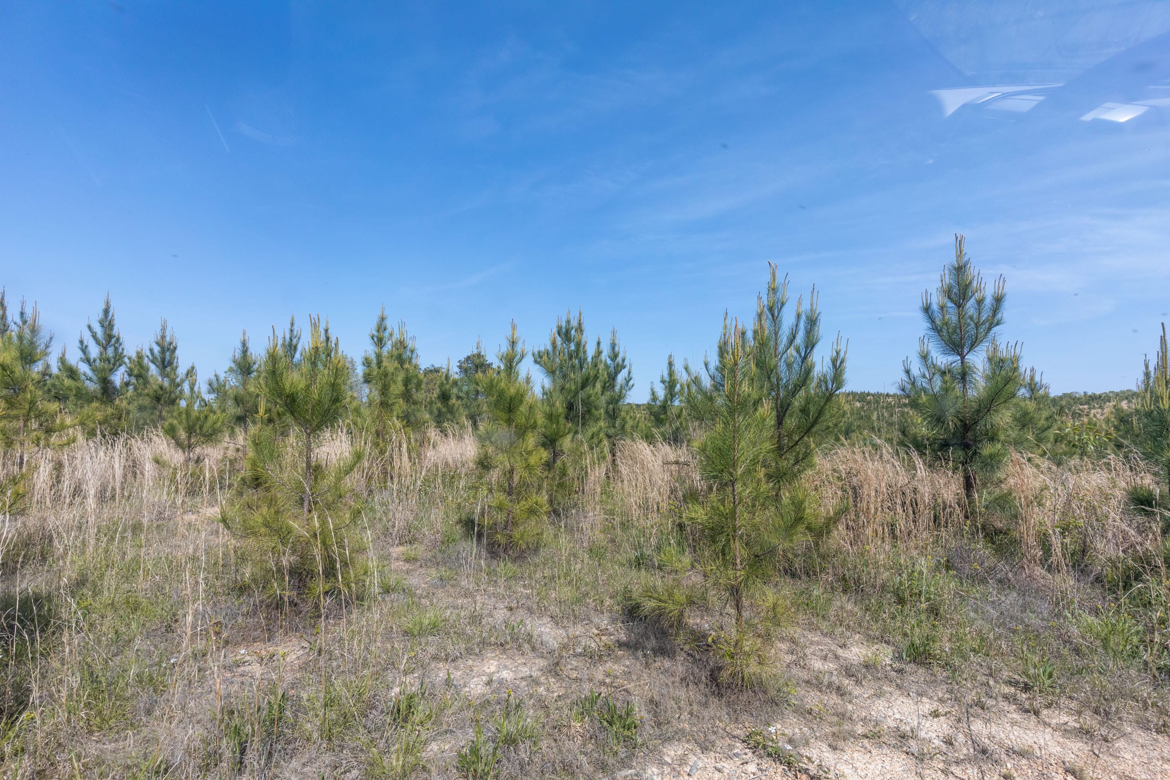 Clear Wood Tract 30 photo 27