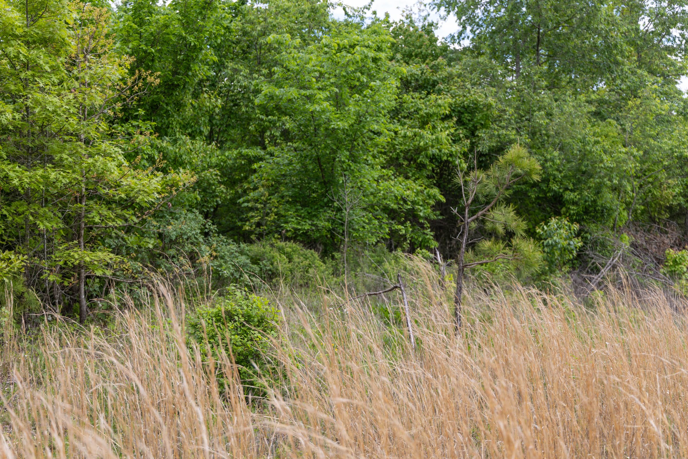 Sleepy Hollow Phase II Tract 93 photo 12
