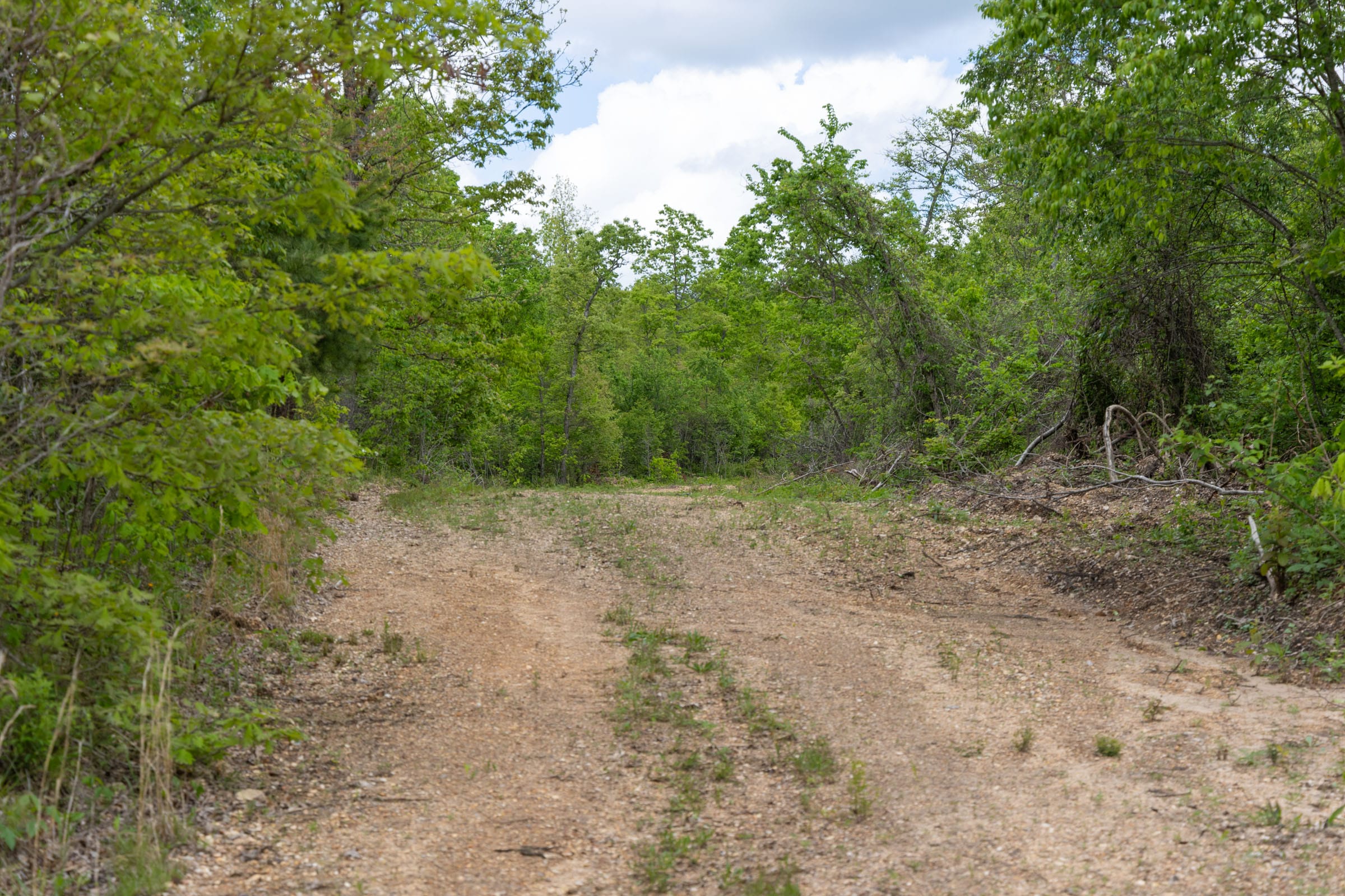 Sleepy Hollow Phase II Tract 93 photo 6