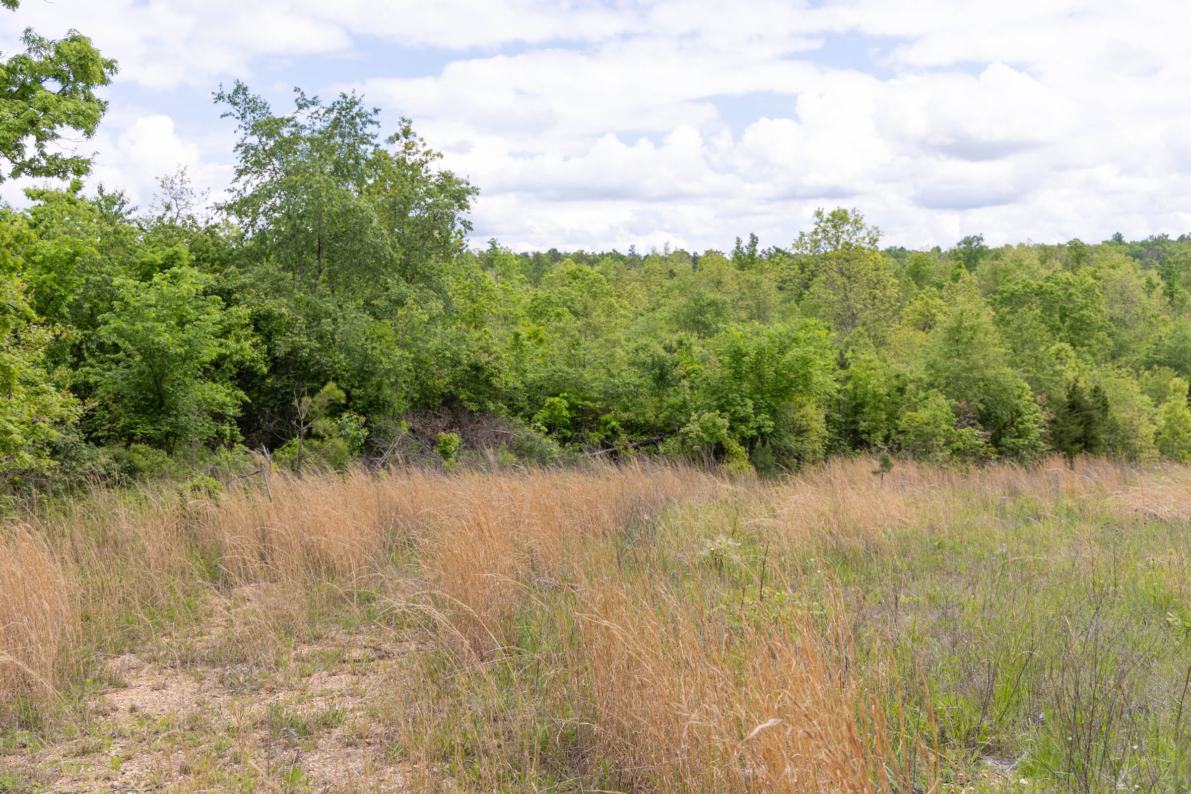 Sleepy Hollow Phase II Tract 93 photo 1