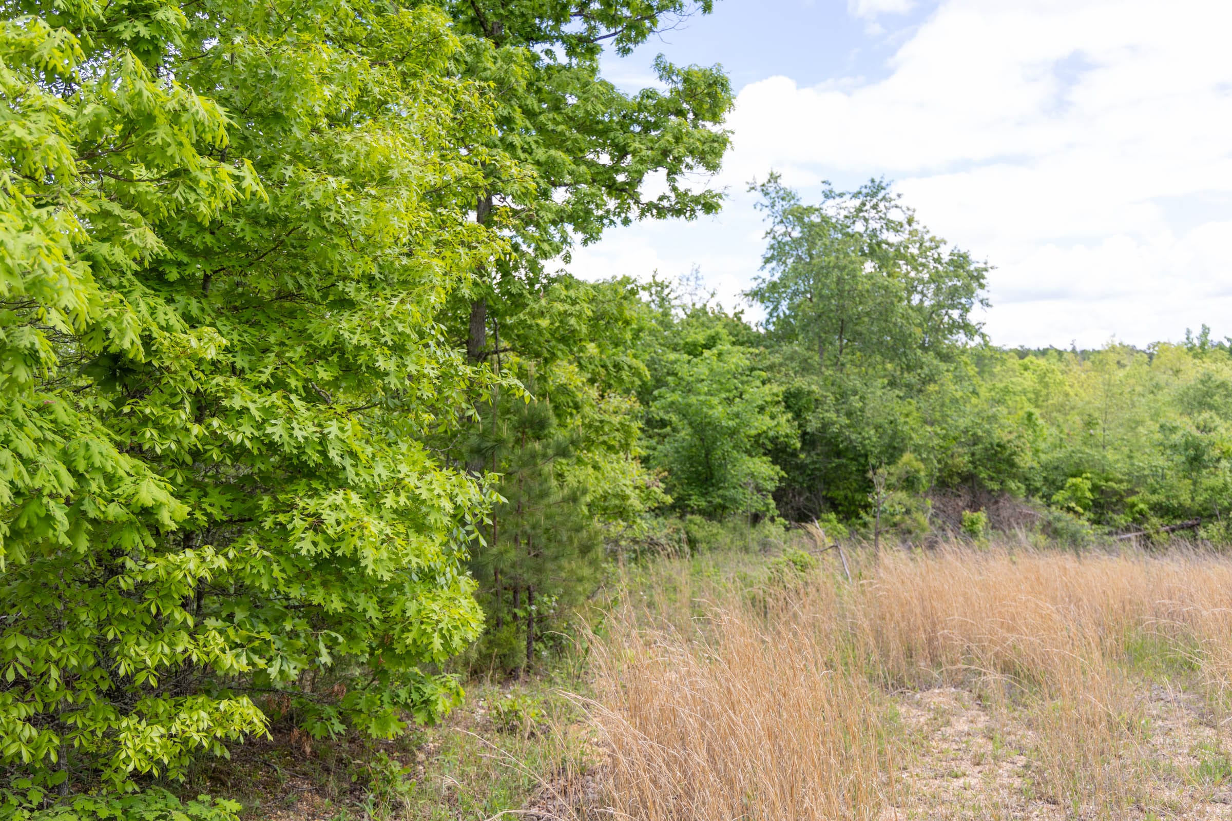 Sleepy Hollow Phase II Tract 93 photo 9