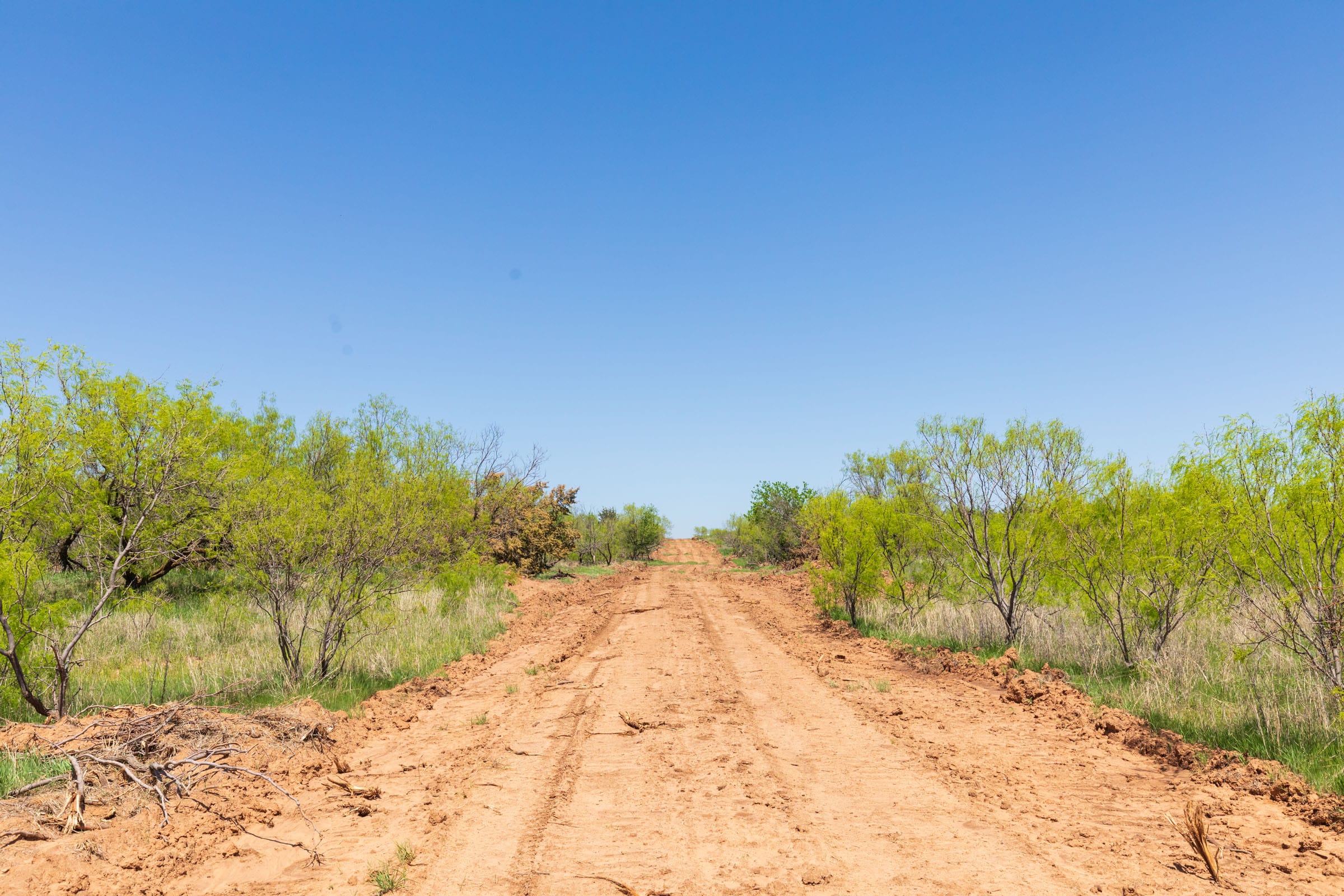 Hackberry Fields Tract 9 photo 2