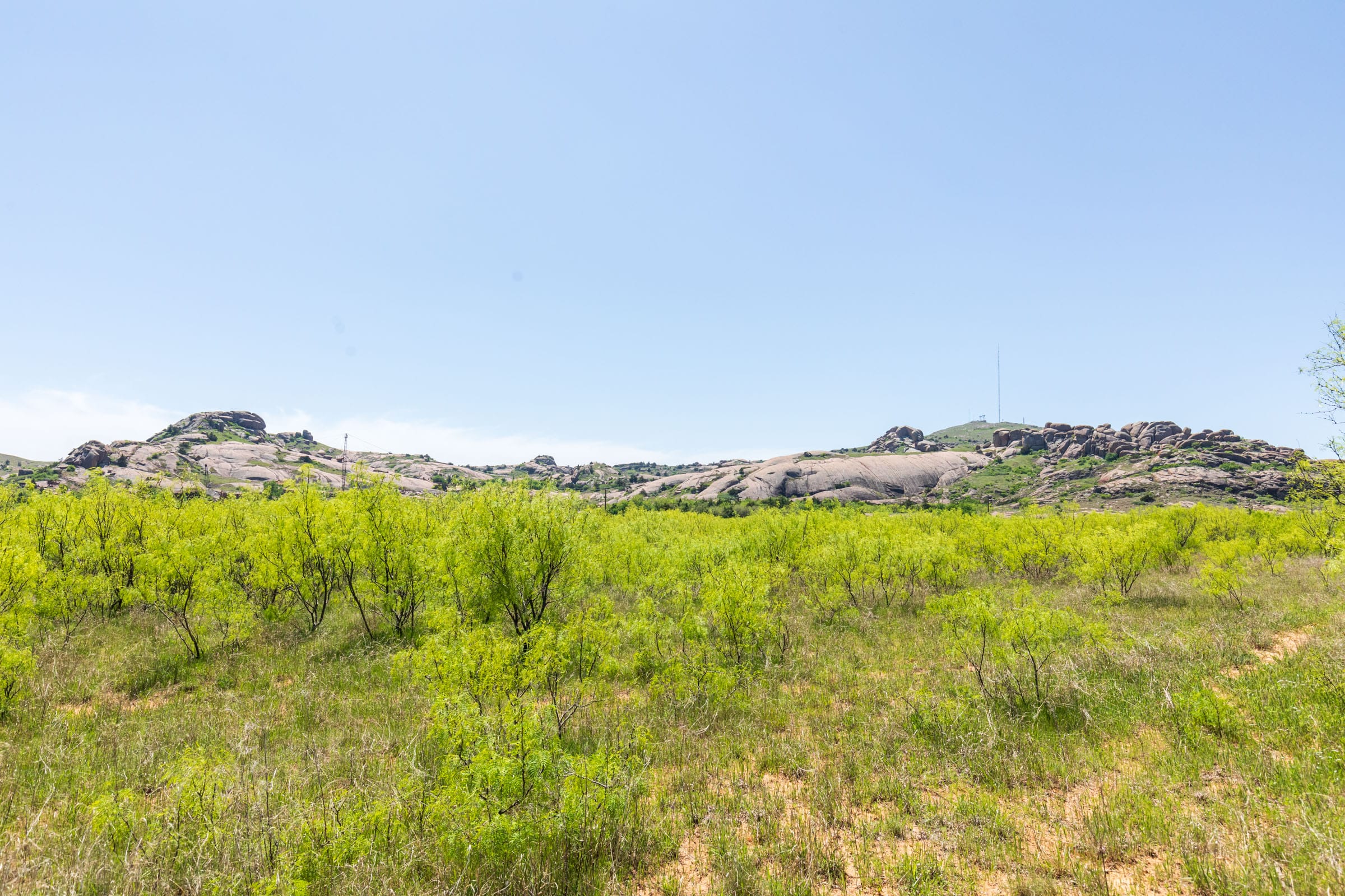 Hackberry Fields Tract 9 photo 5