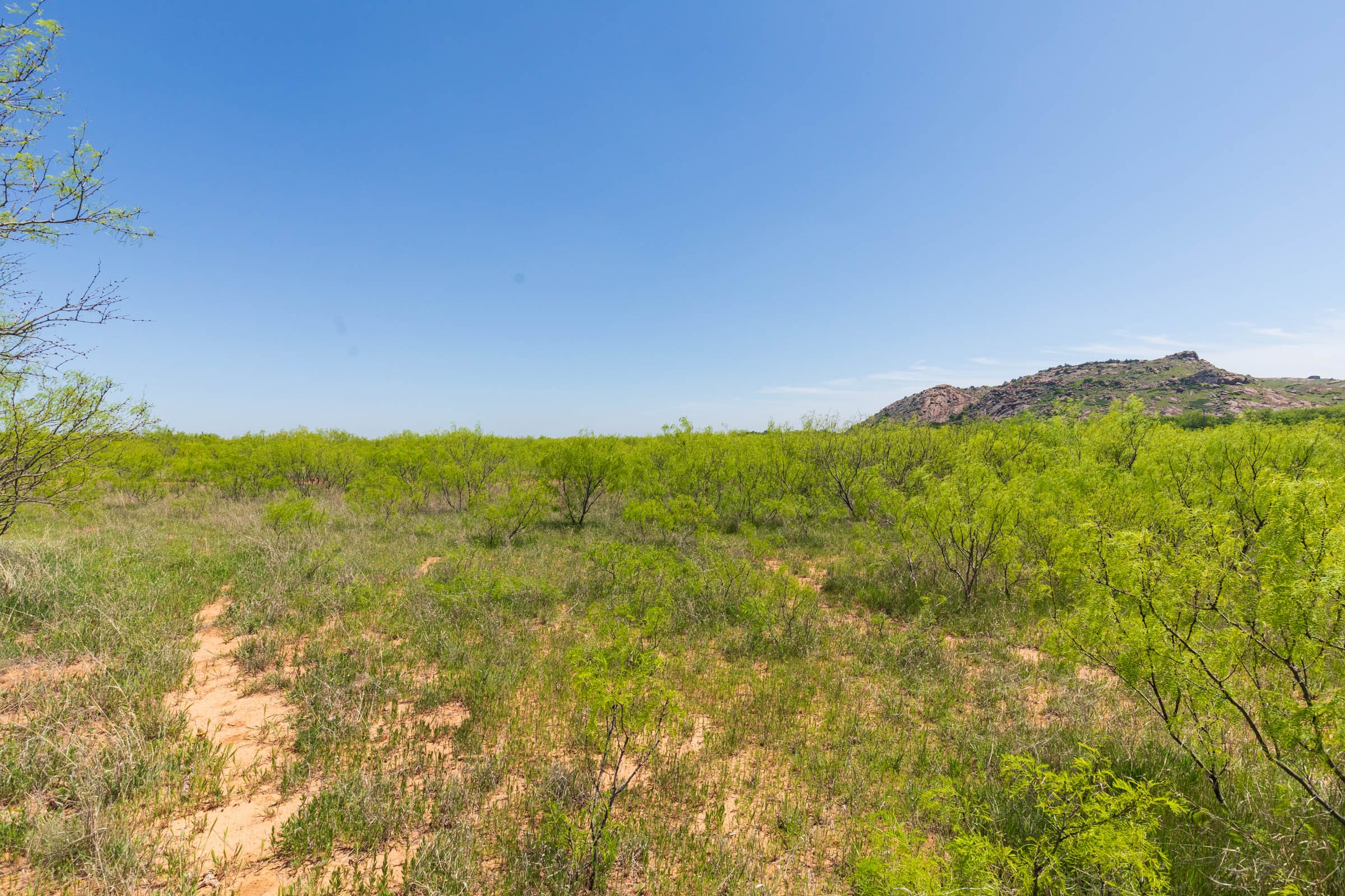 Hackberry Fields Tract 9 photo 7