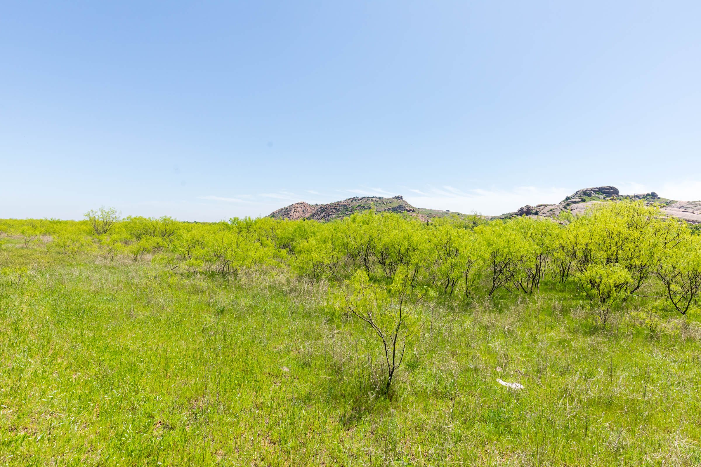 Hackberry Fields Tract 9 photo 10