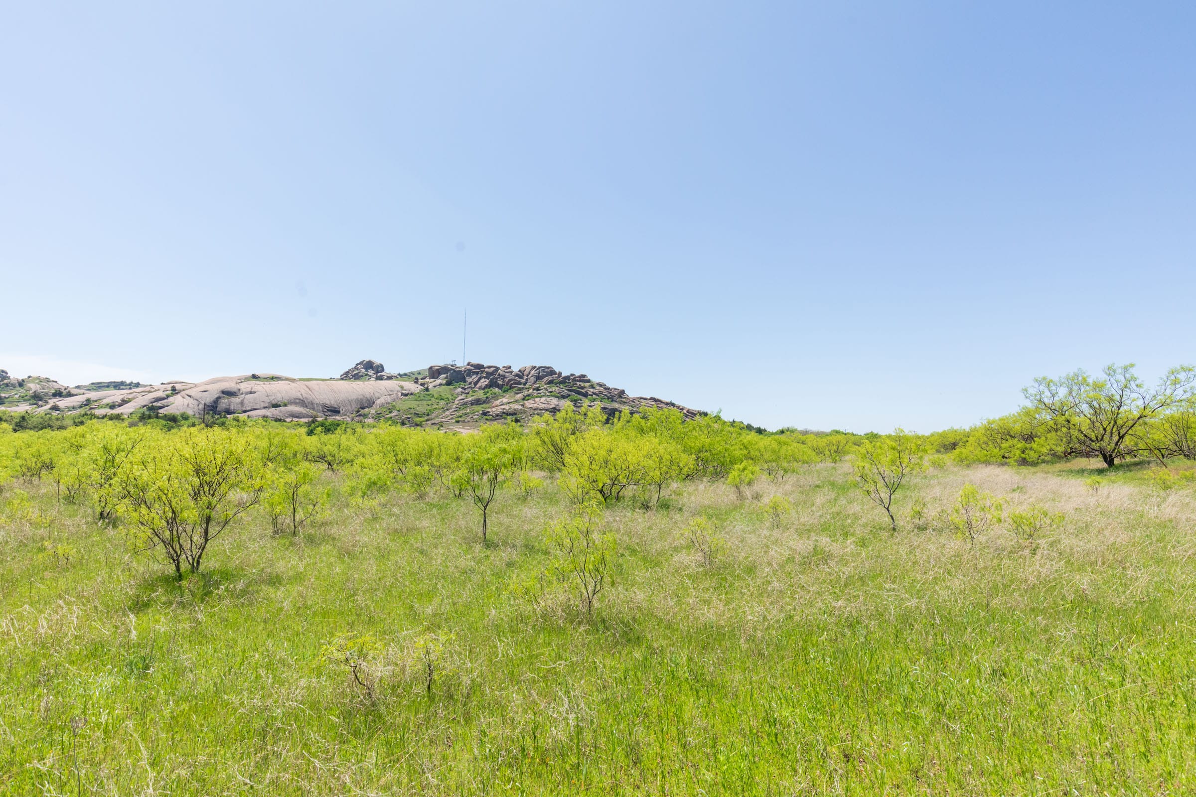 Hackberry Fields Tract 9 photo 12