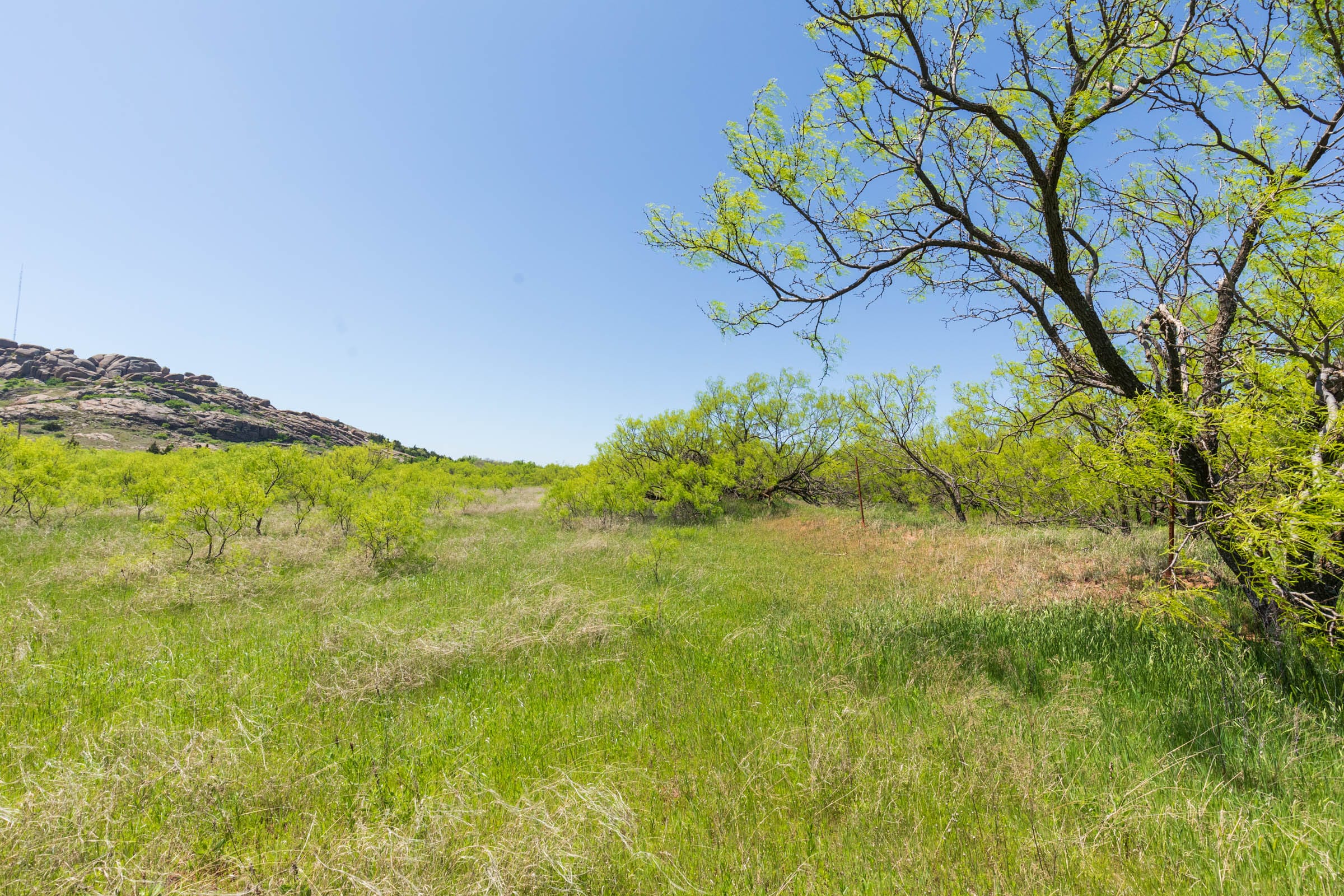 Hackberry Fields Tract 9 photo 4