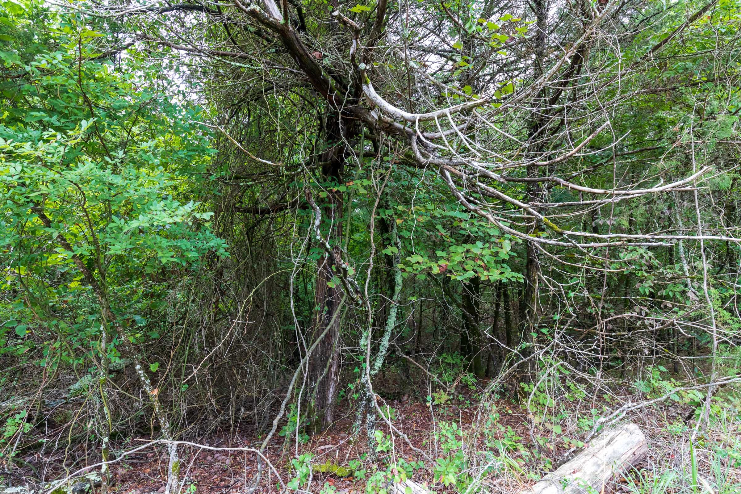 Heritage Bend Tract 2 photo 2