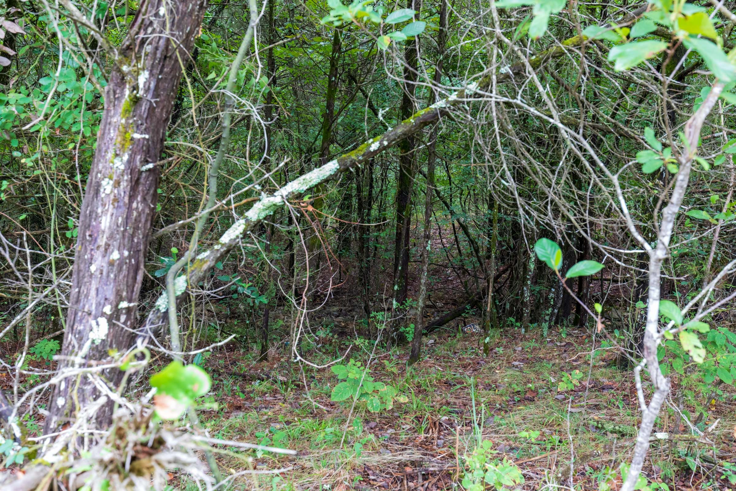 Heritage Bend Tract 2 photo 3