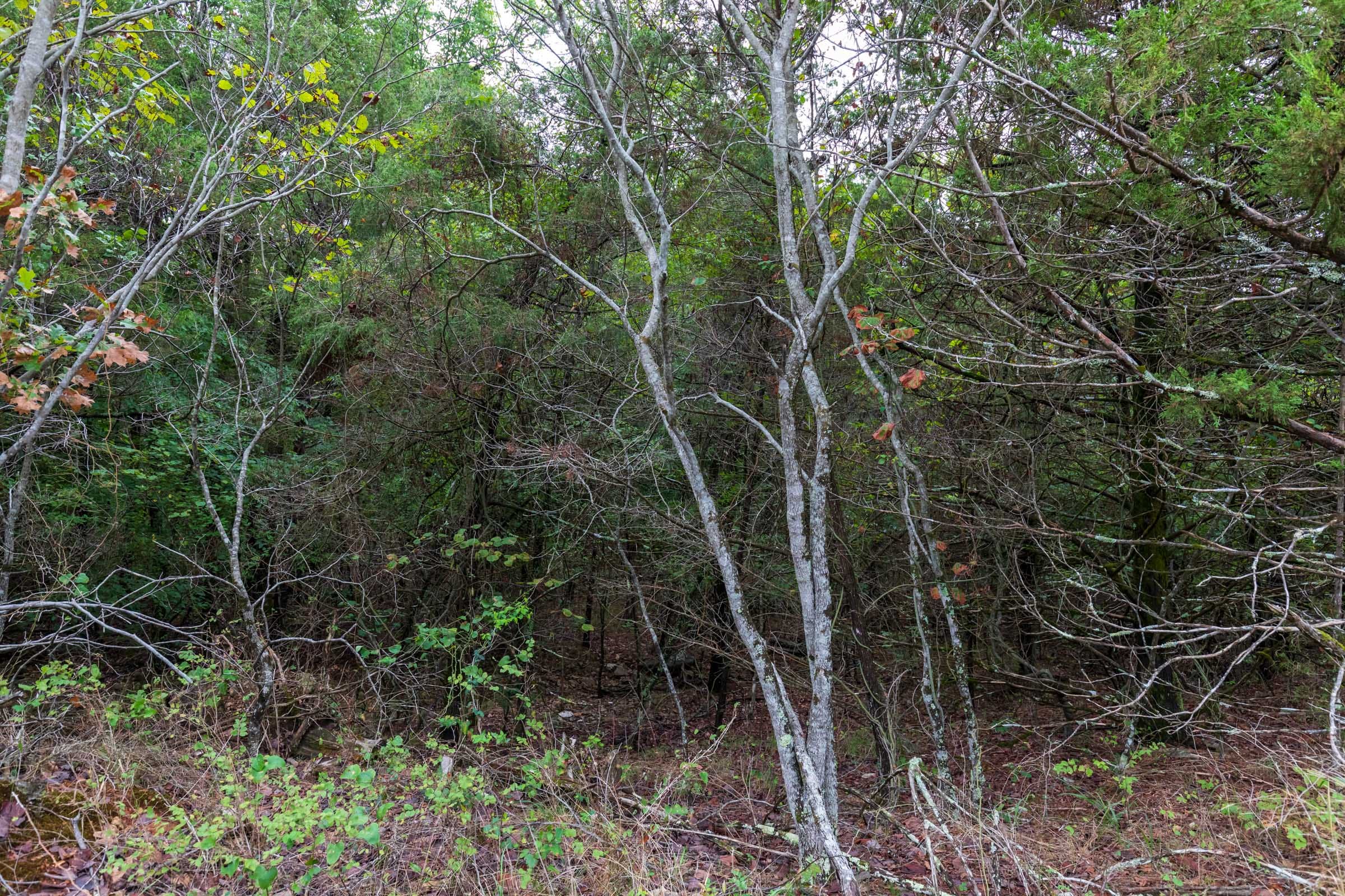 Heritage Bend Tract 2 photo 4