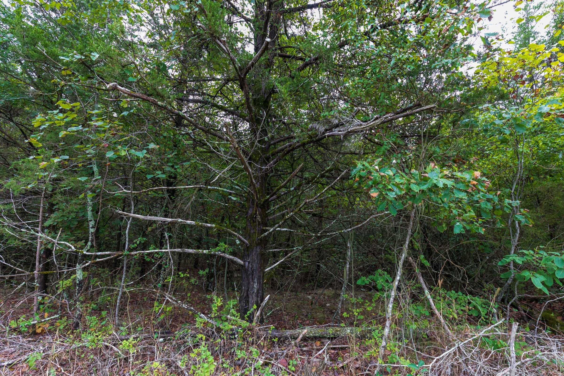 Heritage Bend Tract 2 photo 7