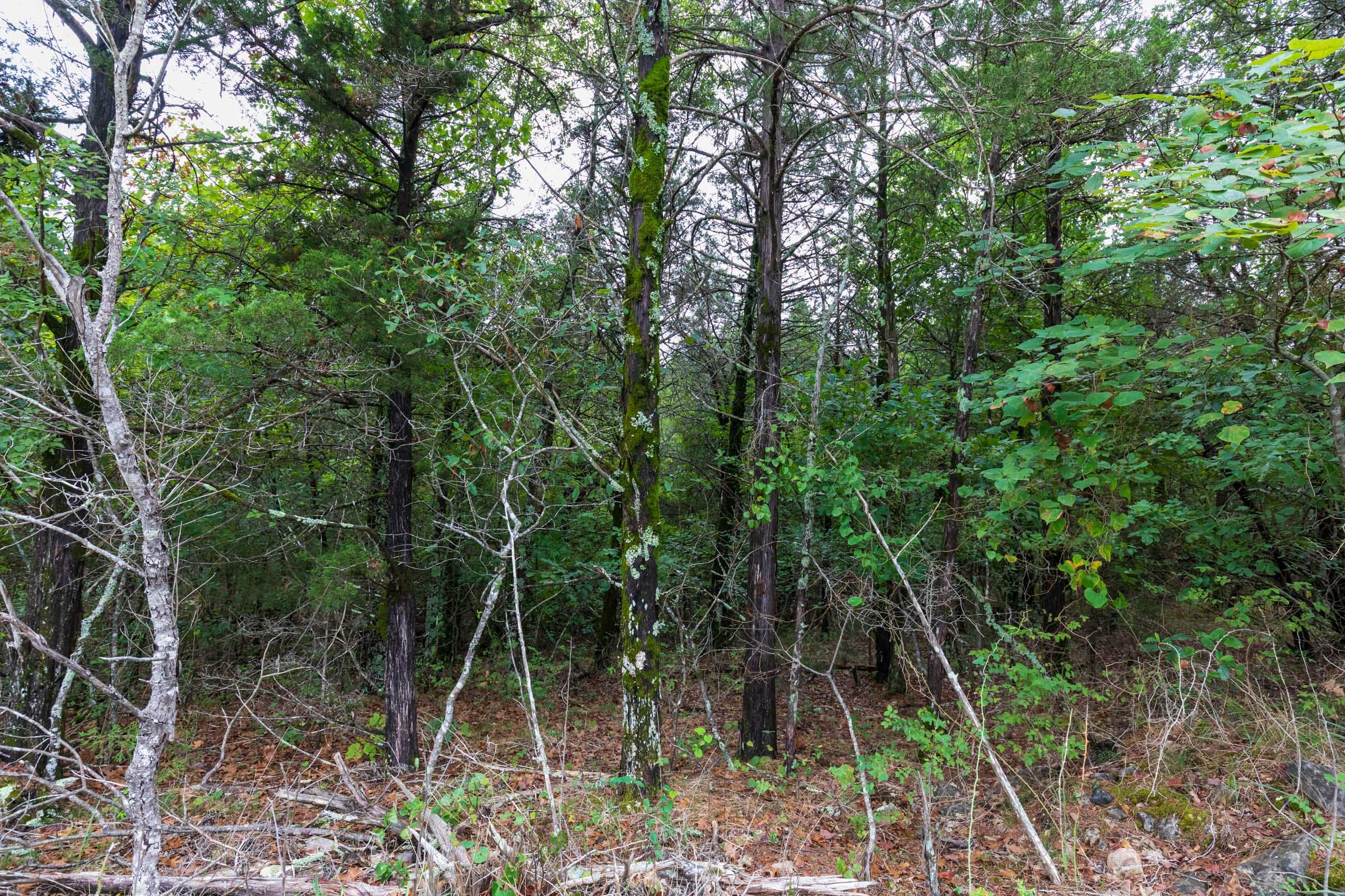 Heritage Bend Tract 2 photo 8
