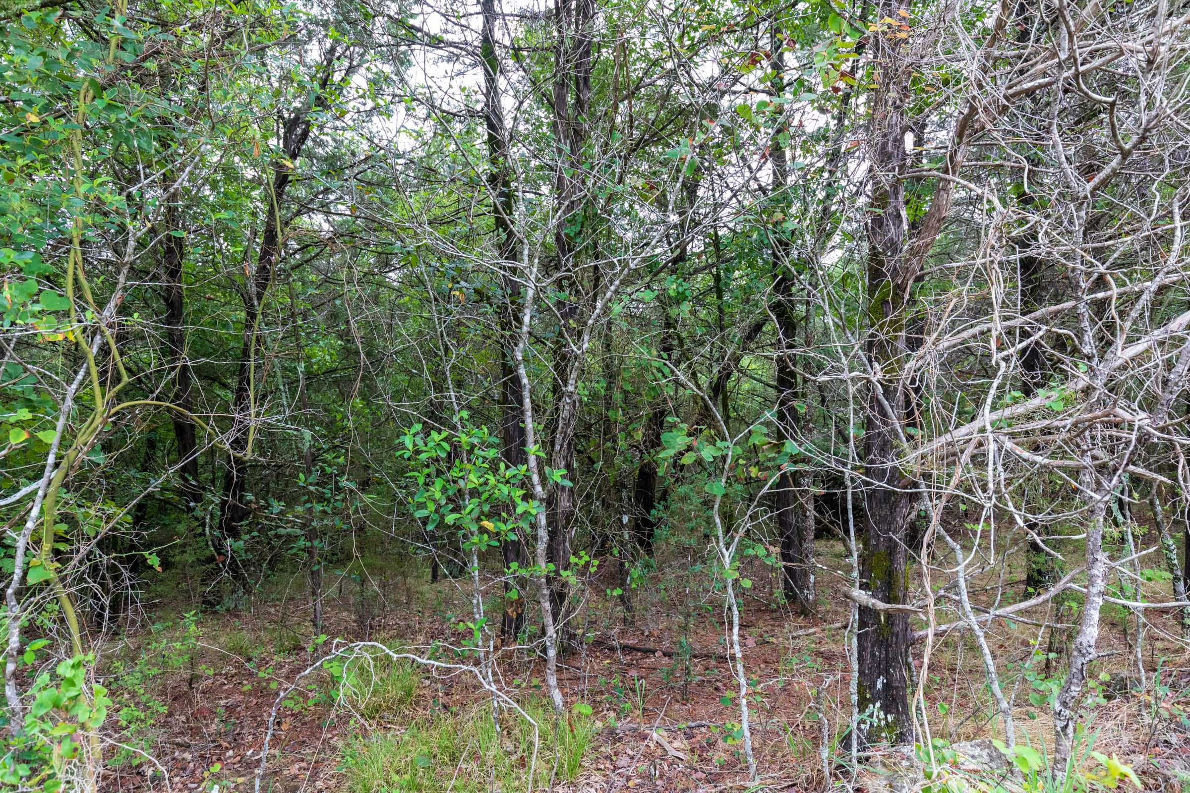 Heritage Bend Tract 2 photo 10