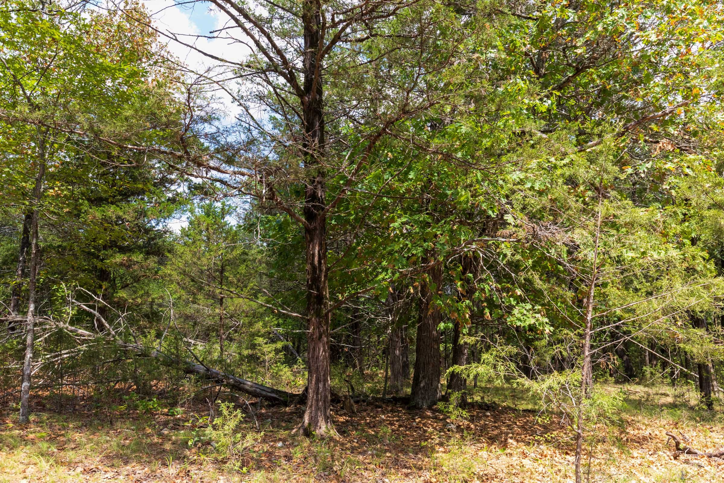 Heritage Bend Tract 13 photo 2
