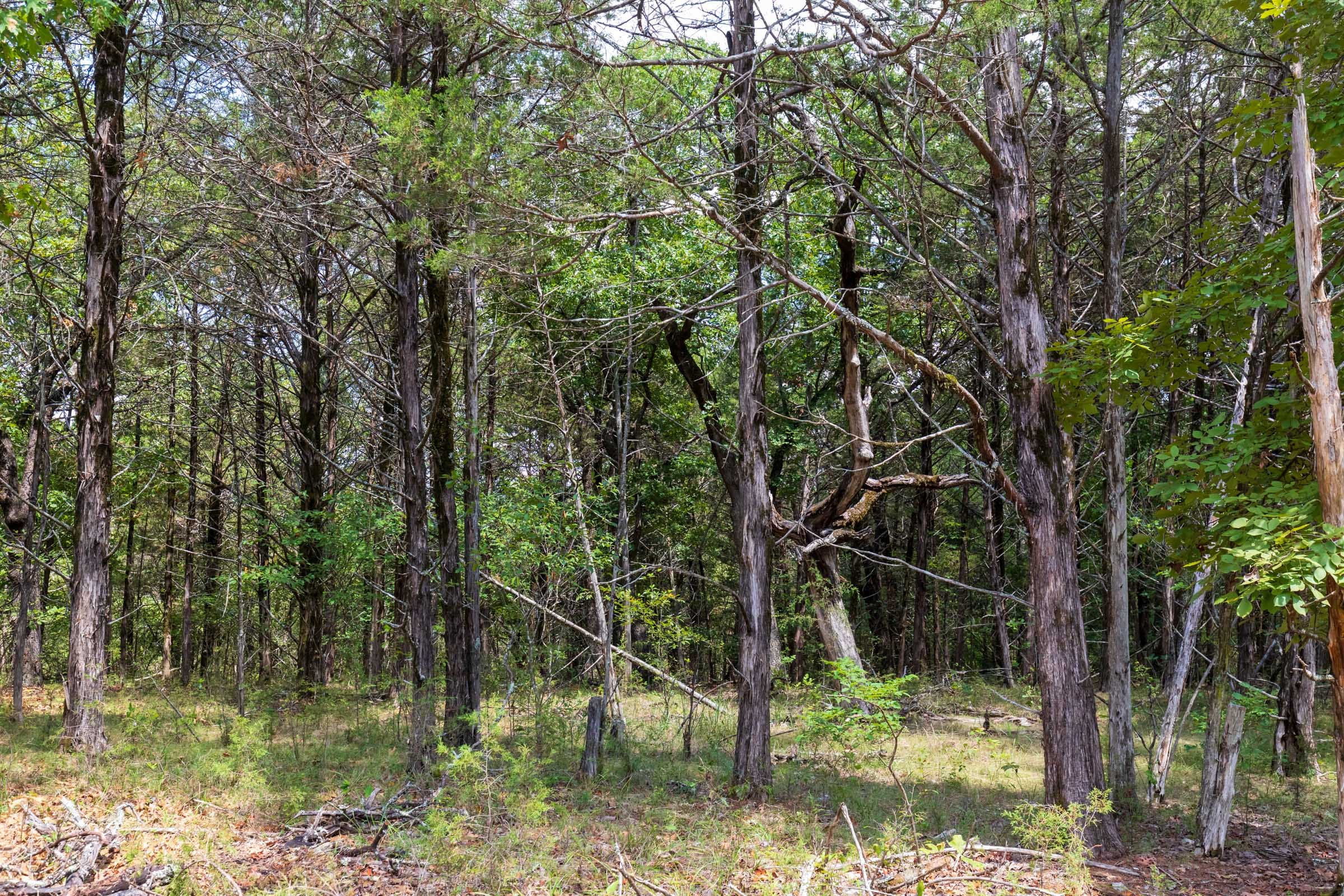 Heritage Bend Tract 13 photo 3