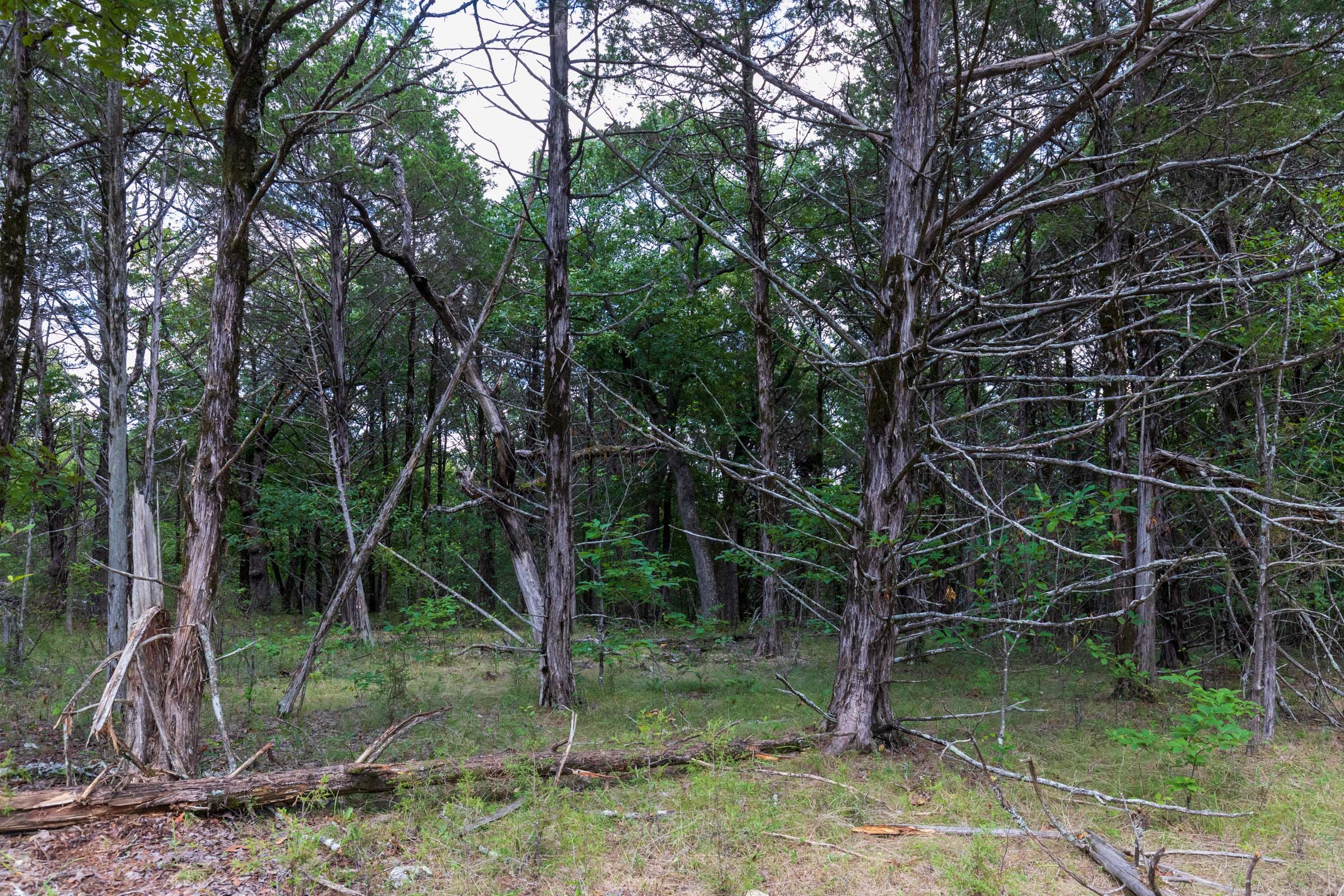 Heritage Bend Tract 13 photo 4