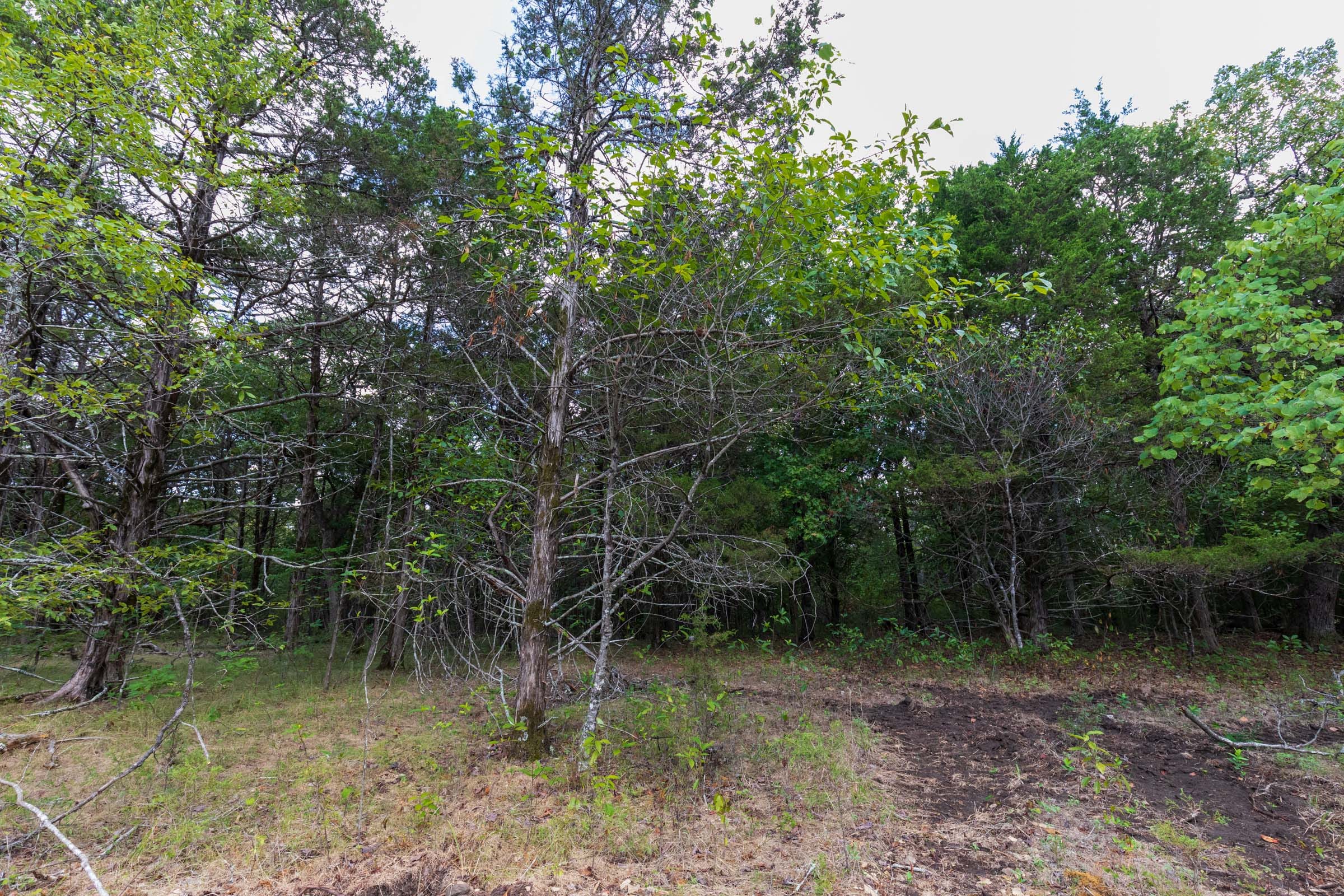 Heritage Bend Tract 13 photo 6