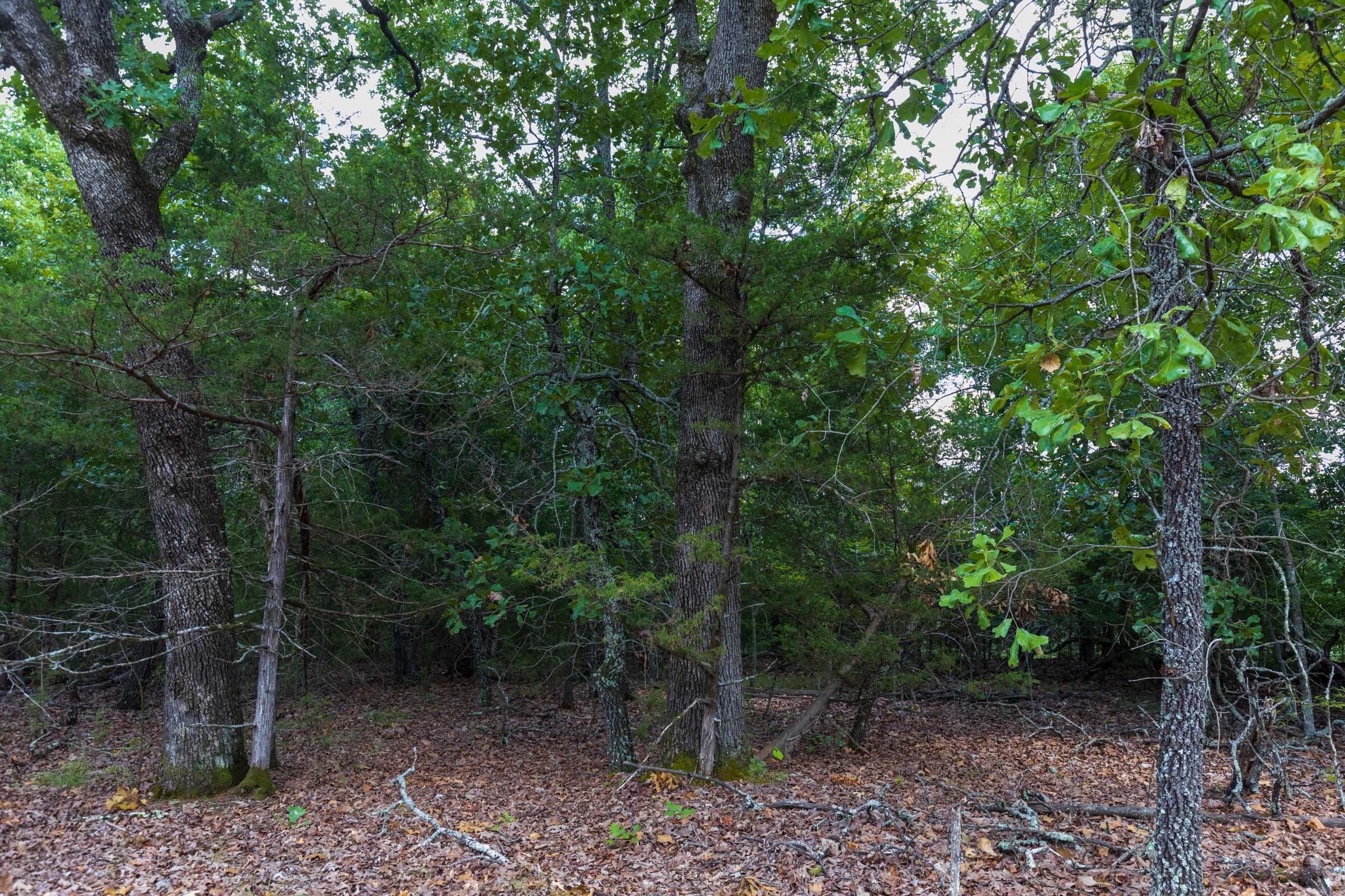 Heritage Bend Tract 13 photo 8