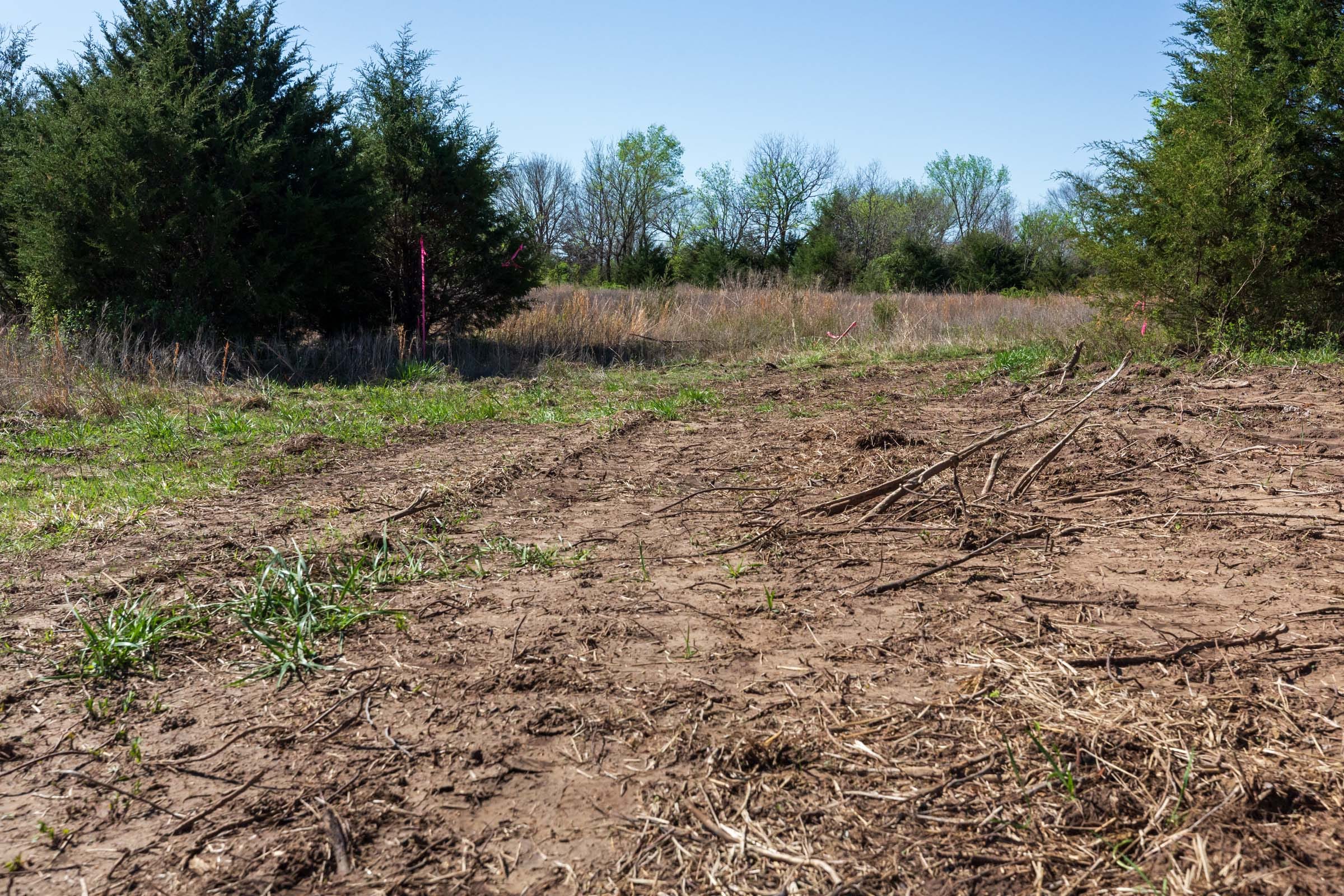 Prairie Grove Tract 20 photo 1