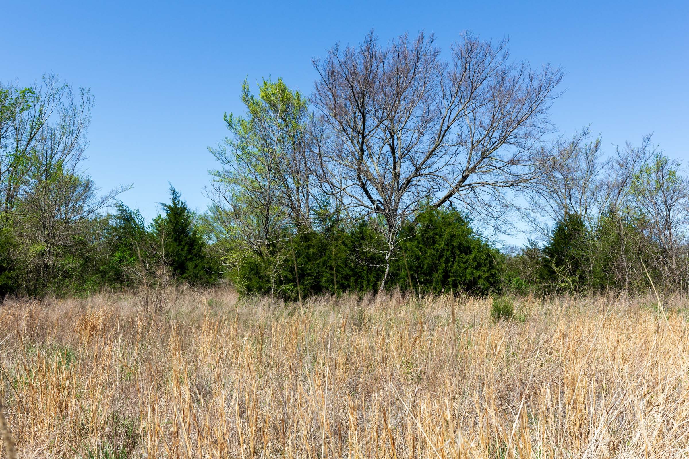 Prairie Grove Tract 20 photo 4
