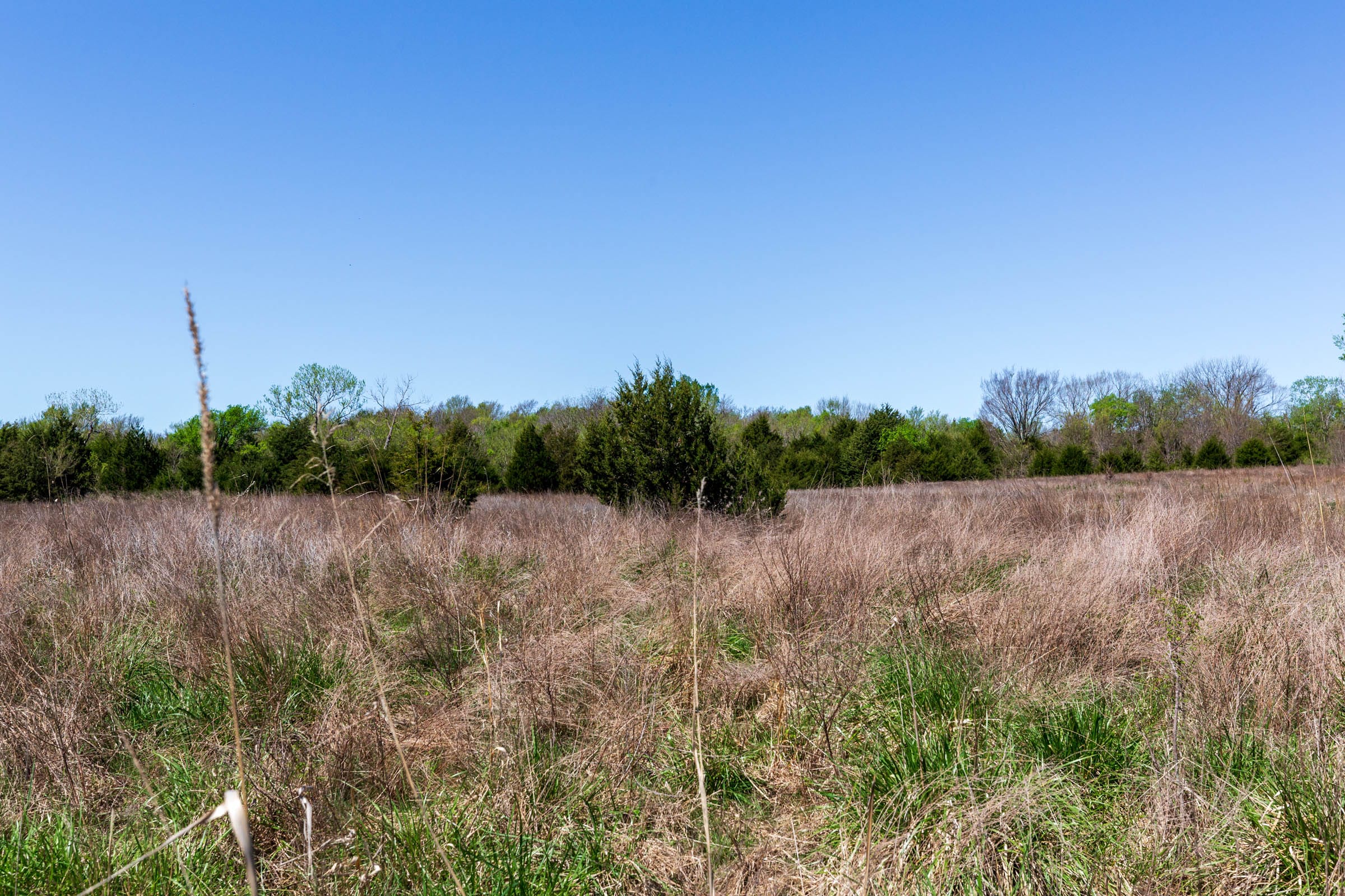 Prairie Grove Tract 20 photo 9