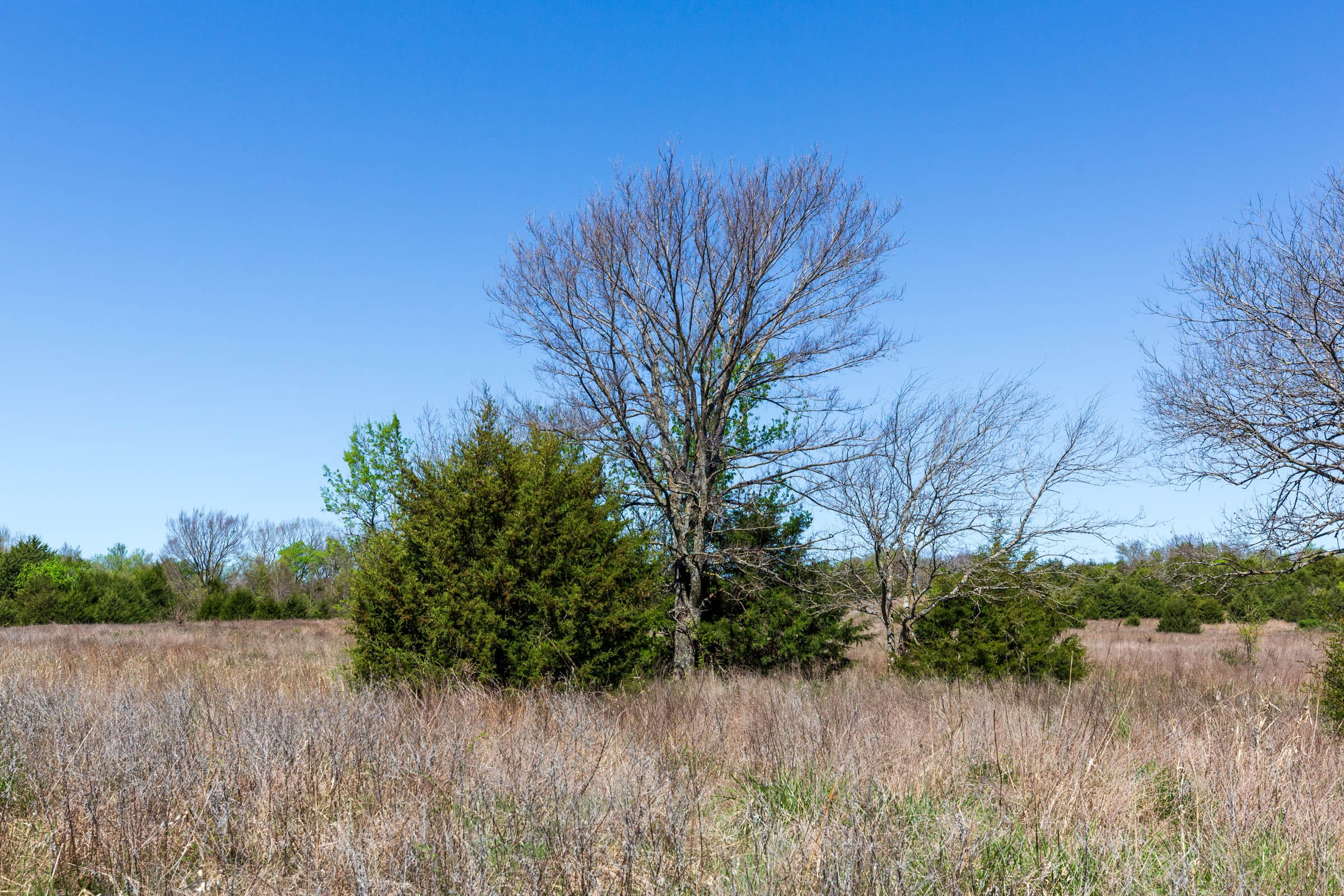 Prairie Grove Tract 20 photo 11