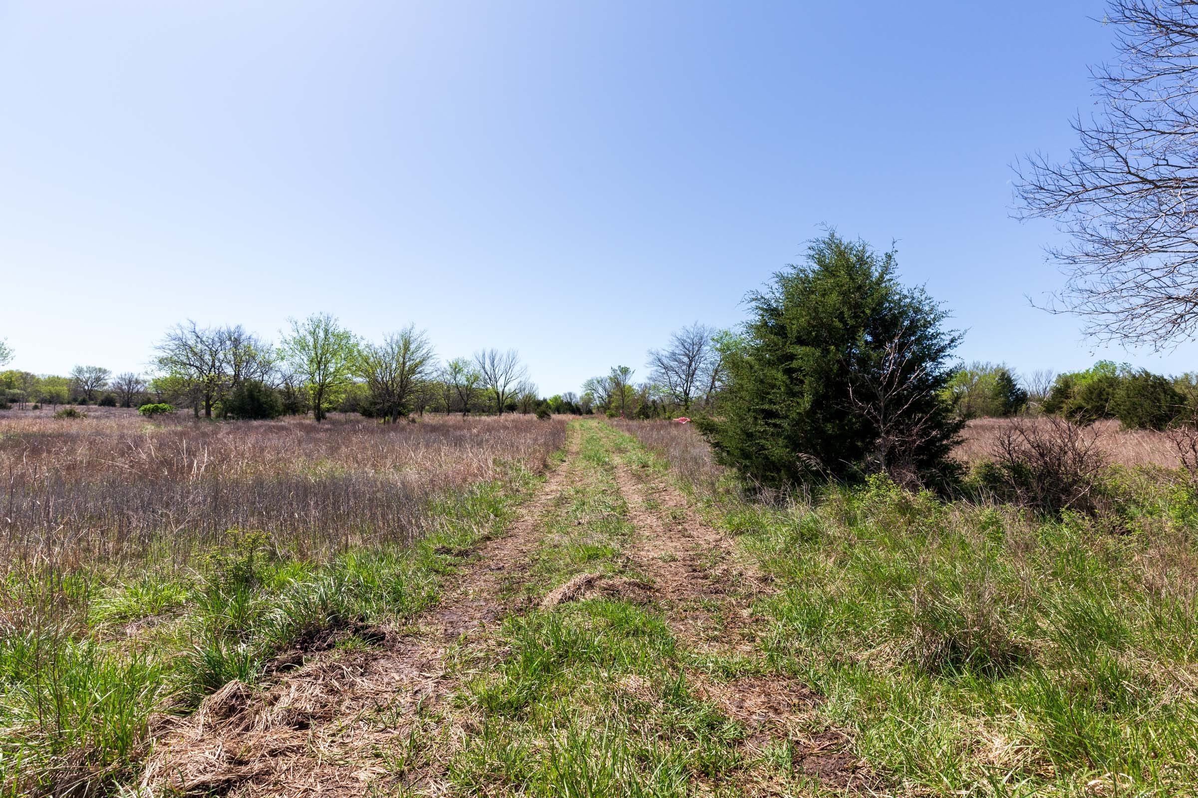 Prairie Grove Tract 20 photo 6