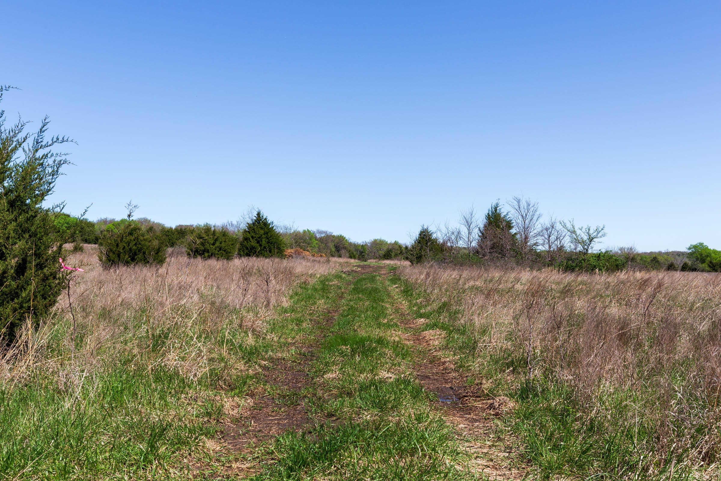Prairie Grove Tract 20 photo 12