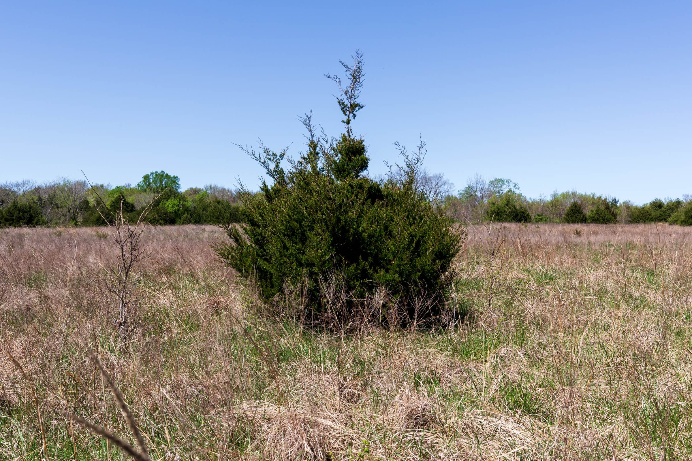 Prairie Grove Tract 20 photo 15