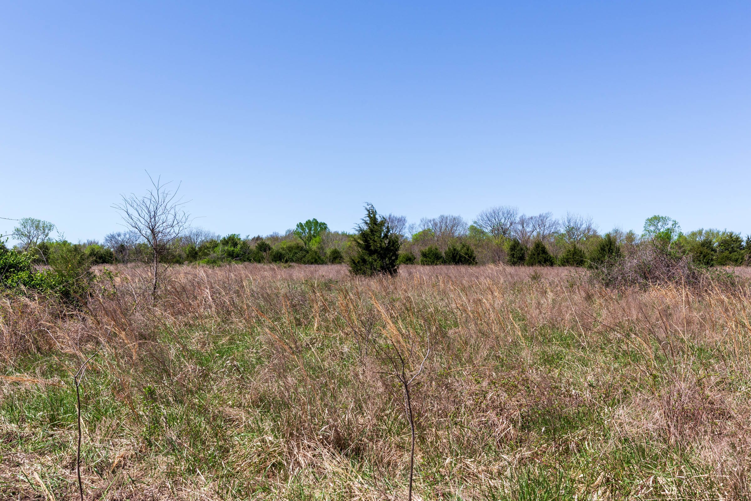 Prairie Grove Tract 20 photo 14