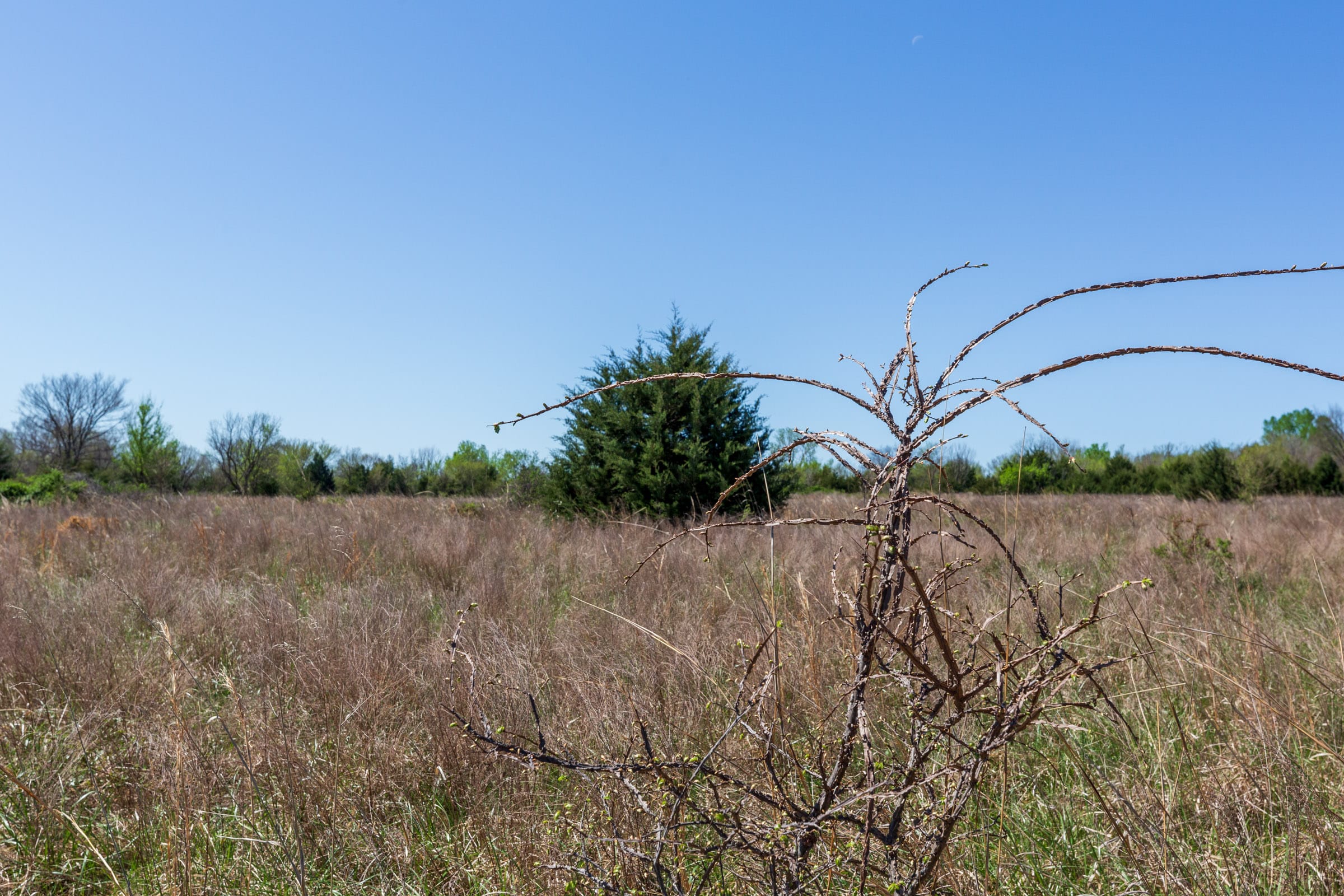 Prairie Grove Tract 20 photo 19