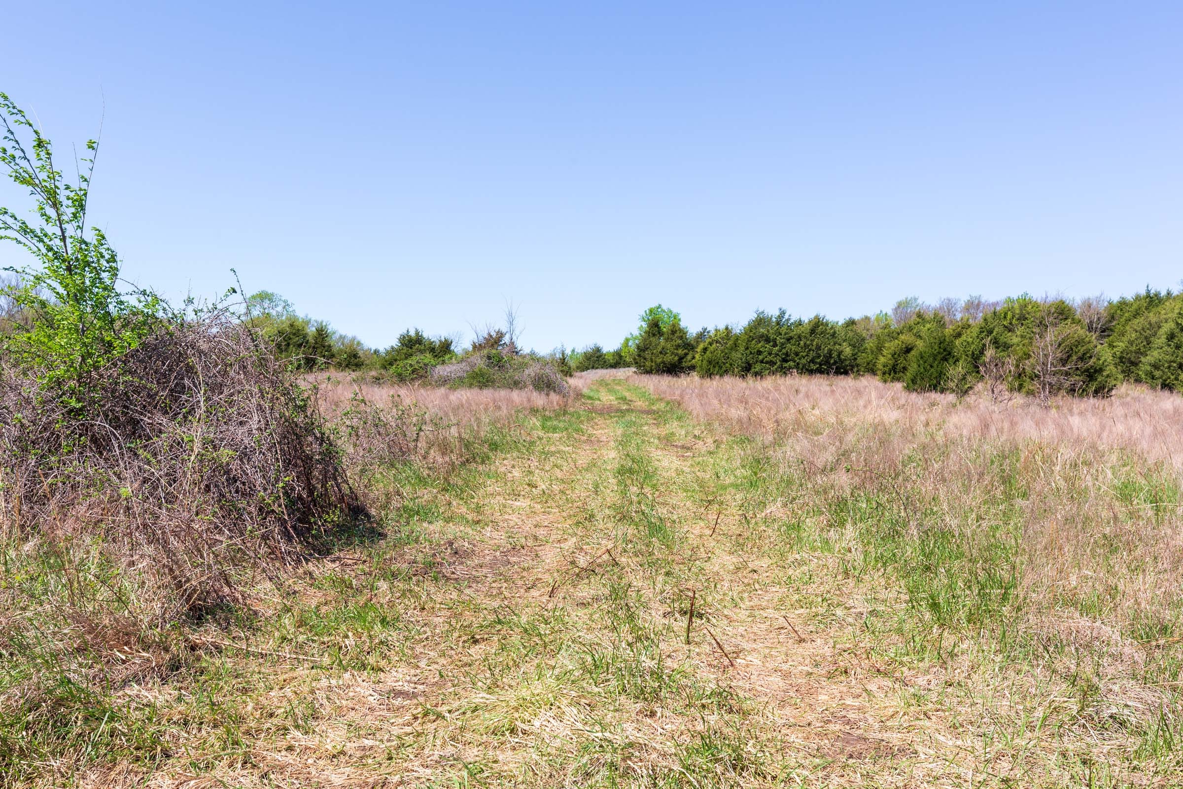 Prairie Grove Tract 20 photo 21