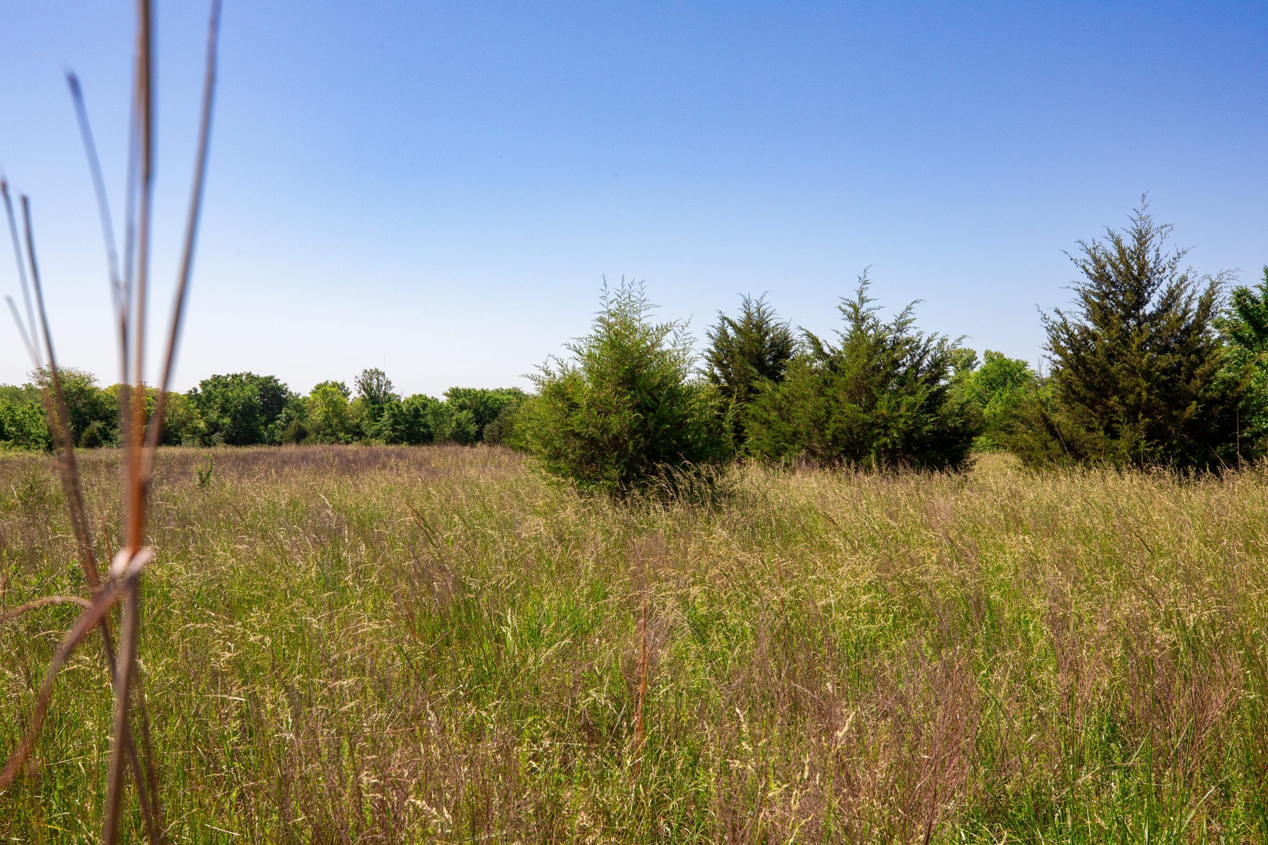Prairie Grove Tract 20 photo 7