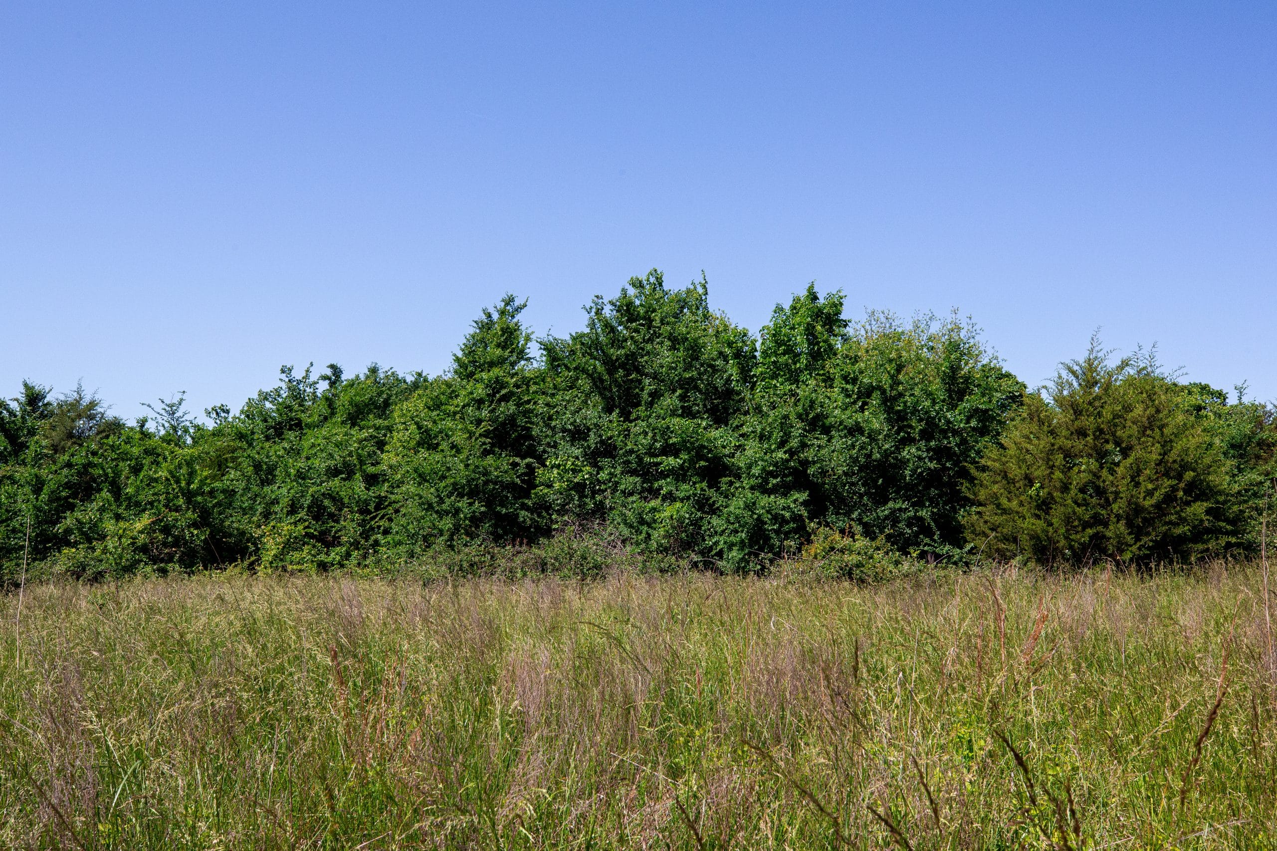 Prairie Grove Tract 20 photo 24