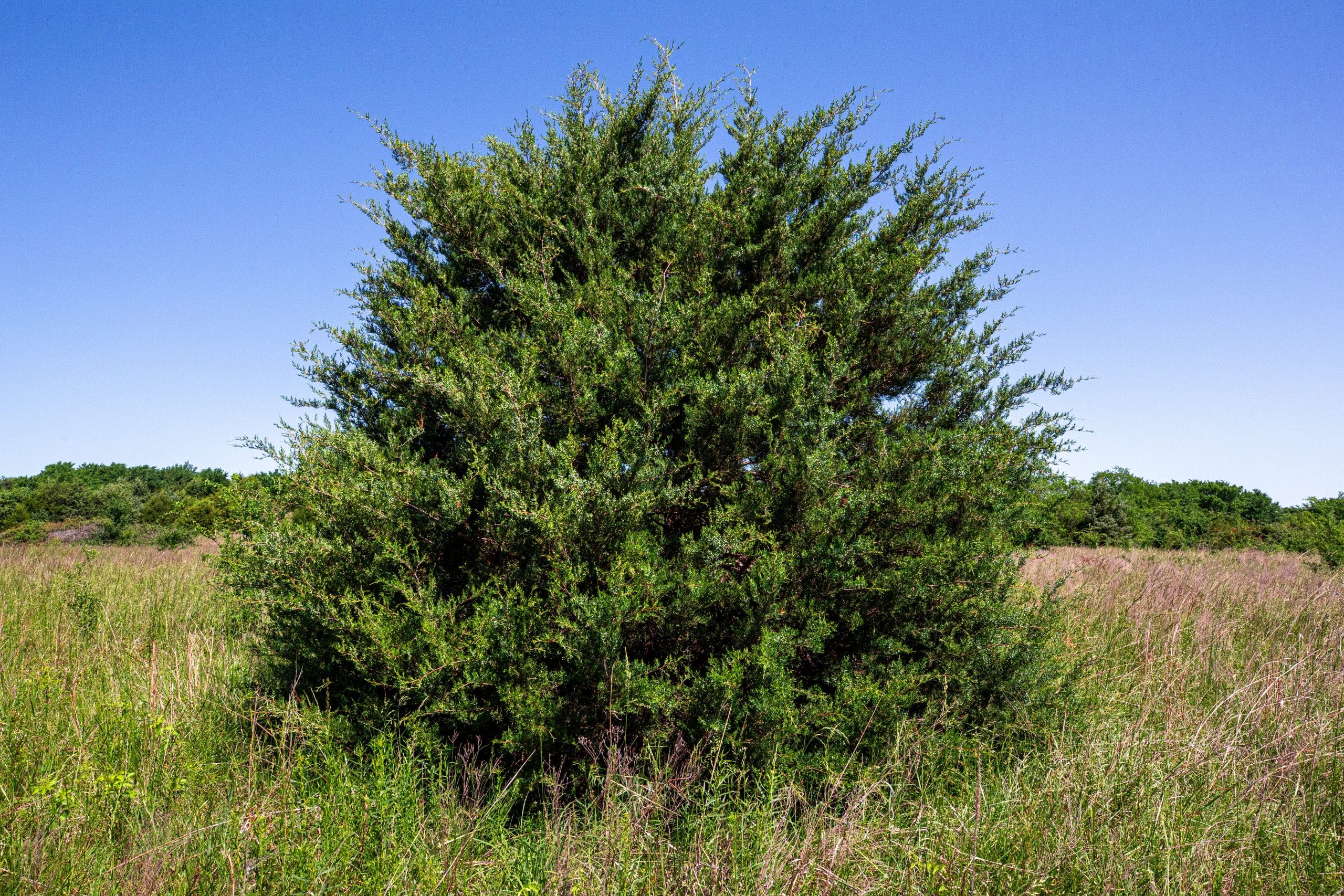 Prairie Grove Tract 20 photo 25