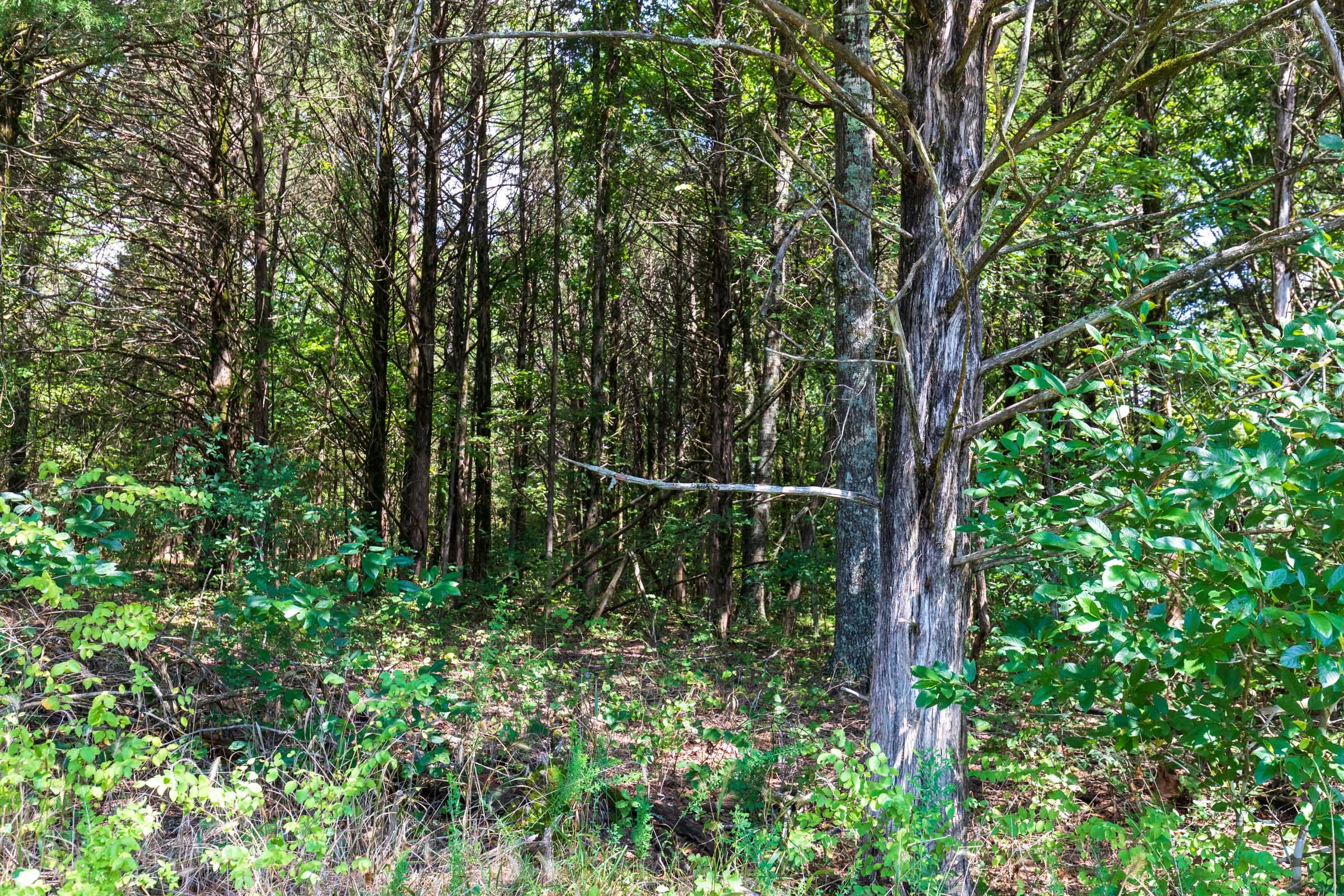 Heritage Bend Tract 31 photo 26