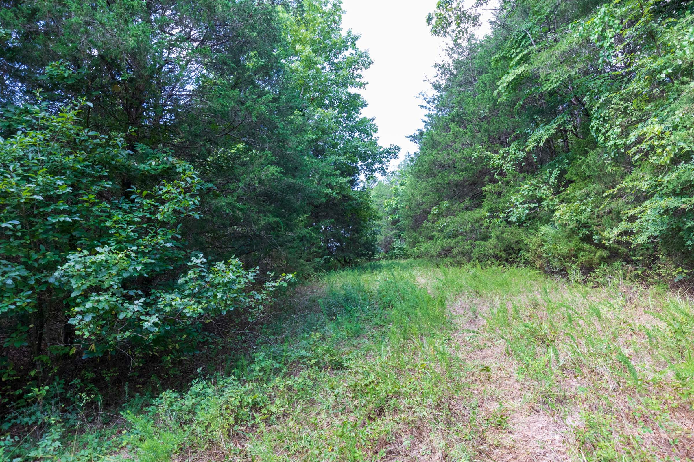 Heritage Bend Tract 31 photo 10