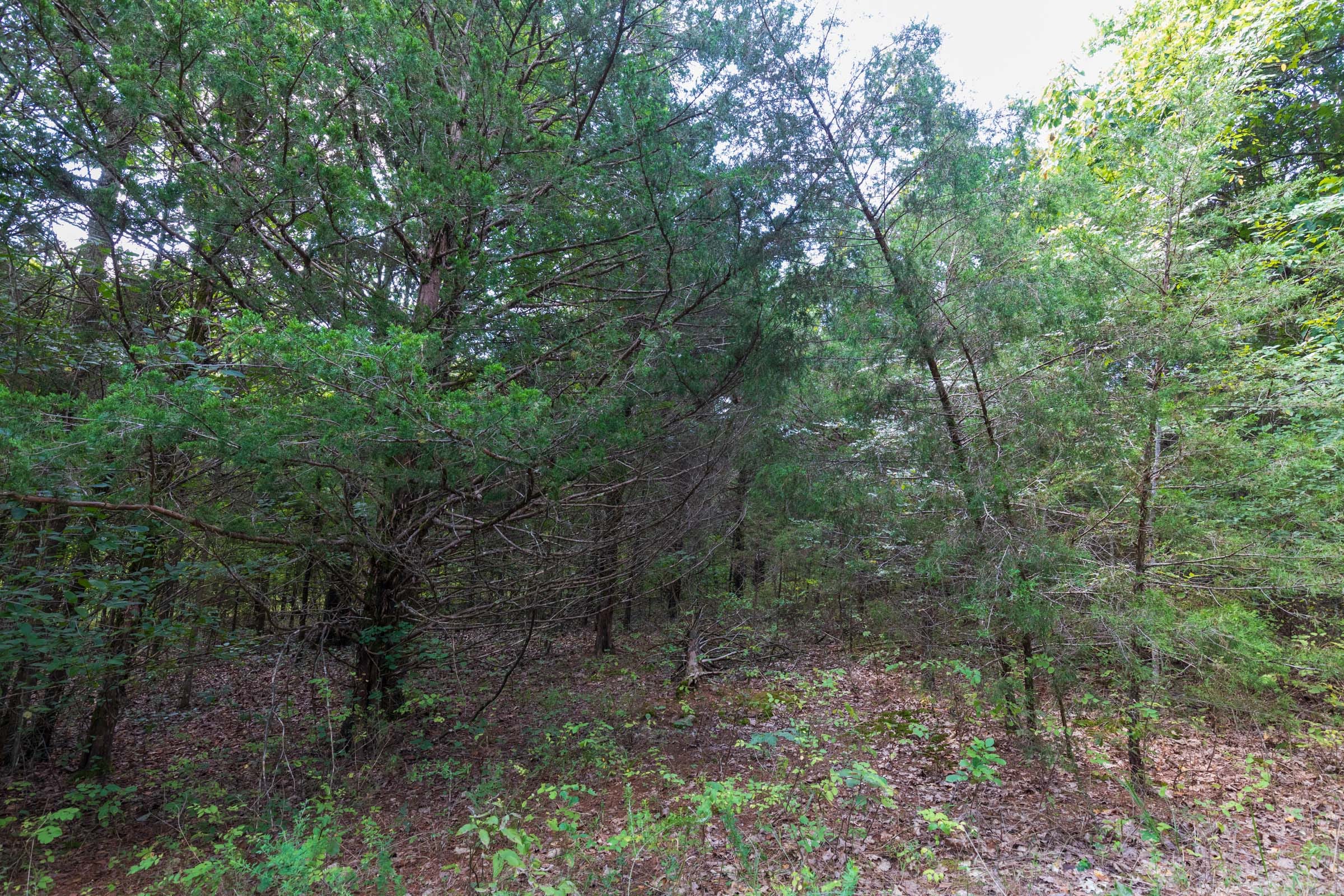 Heritage Bend Tract 31 photo 11