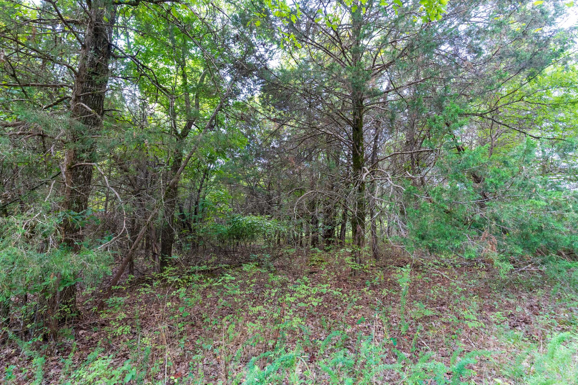 Heritage Bend Tract 31 photo 12