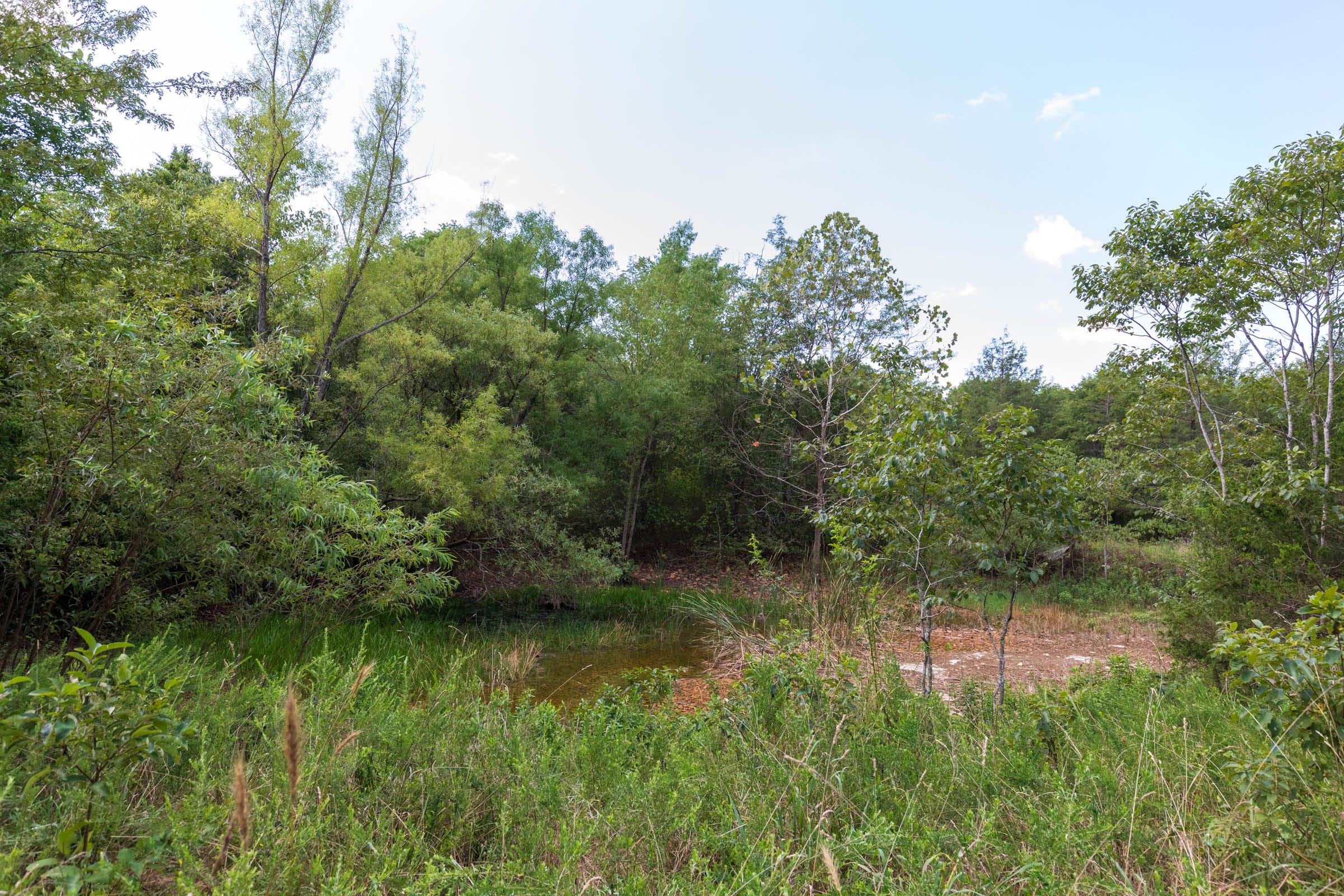 Heritage Bend Tract 31 photo 3