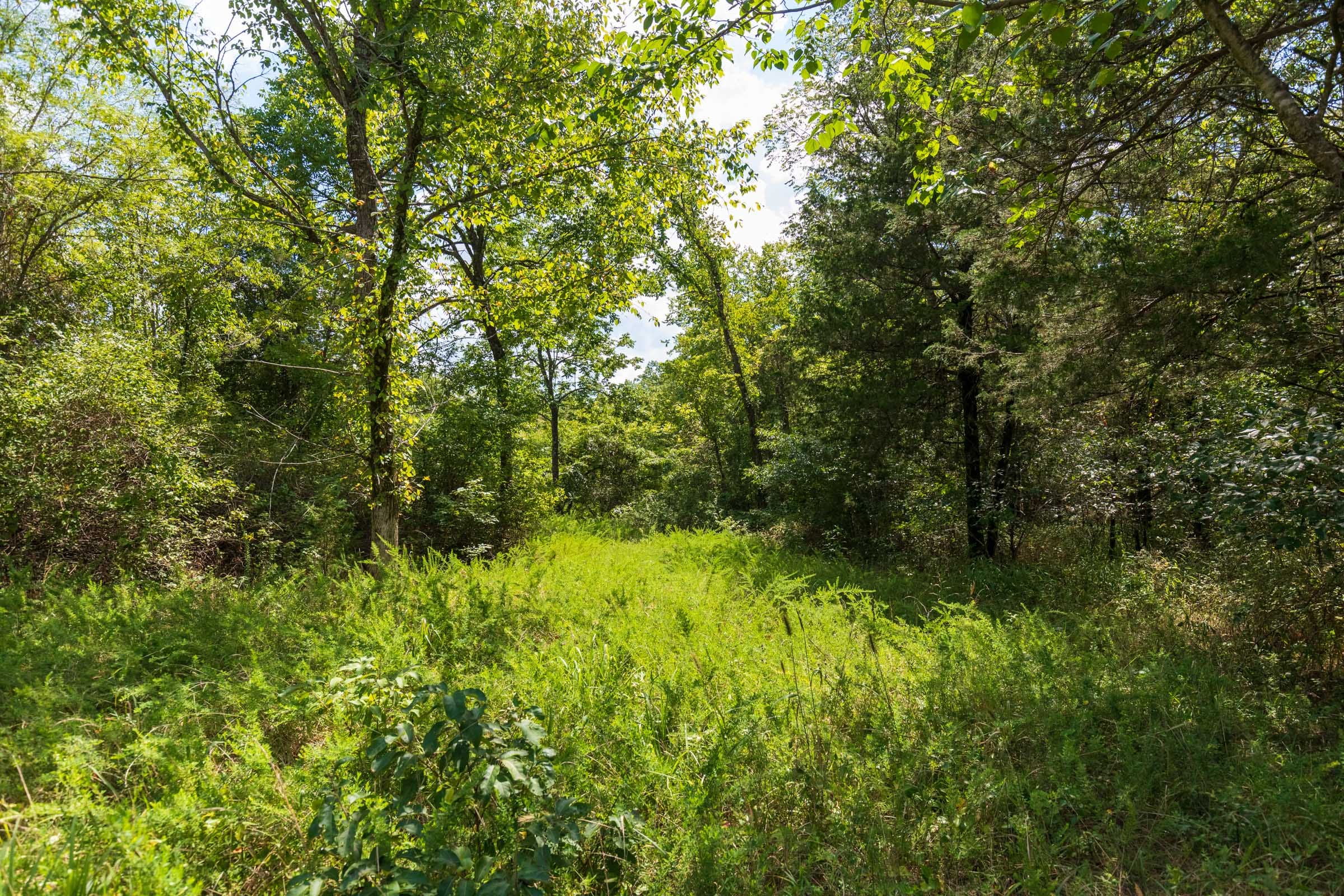 Heritage Bend Tract 31 photo 5