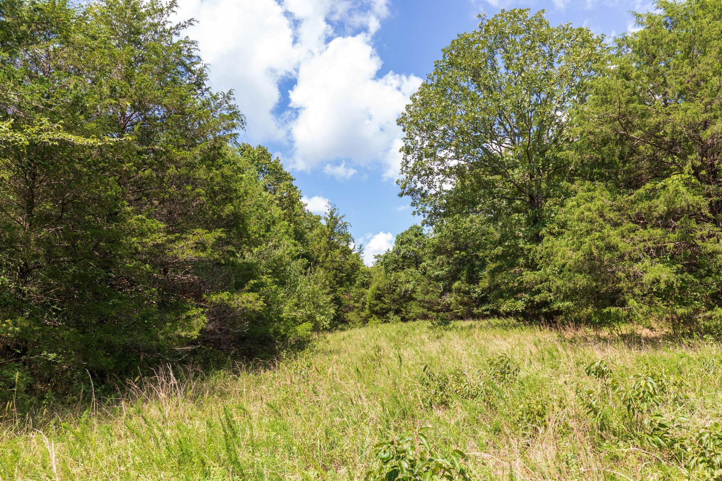 Heritage Bend Tract 31 photo 6