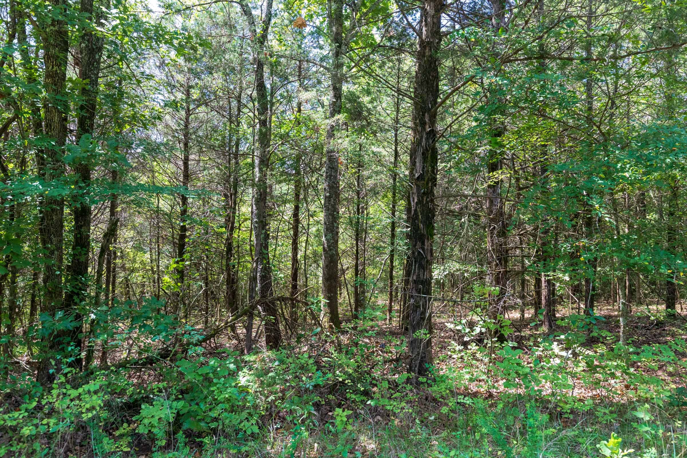 Heritage Bend Tract 31 photo 14