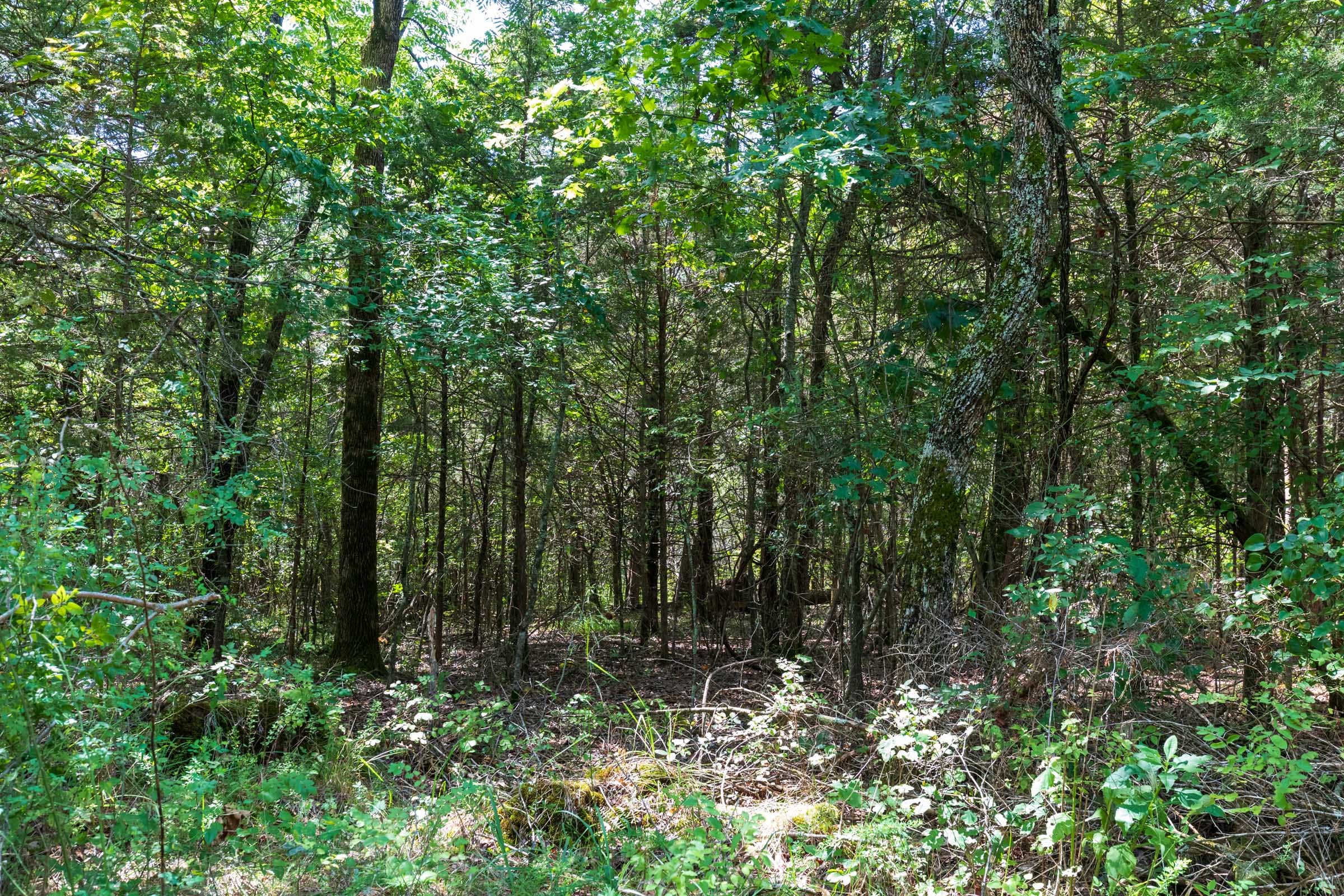 Heritage Bend Tract 31 photo 15