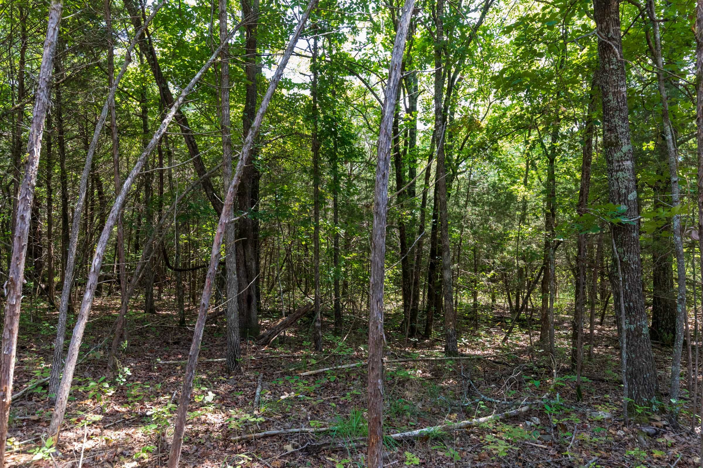 Heritage Bend Tract 31 photo 16