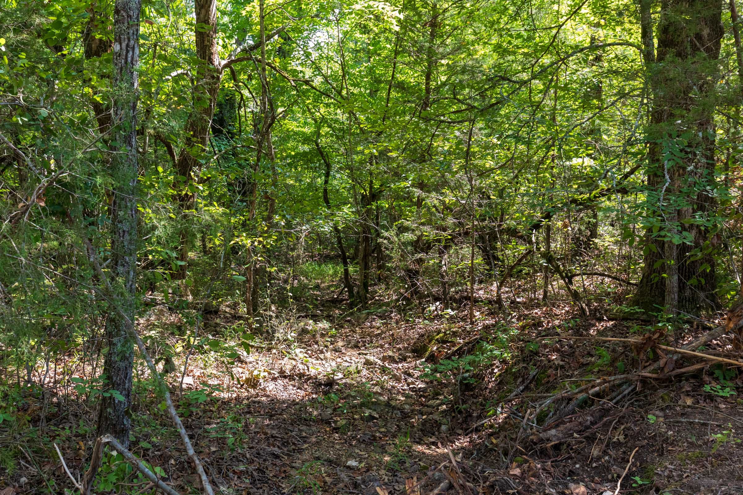 Heritage Bend Tract 31 photo 17