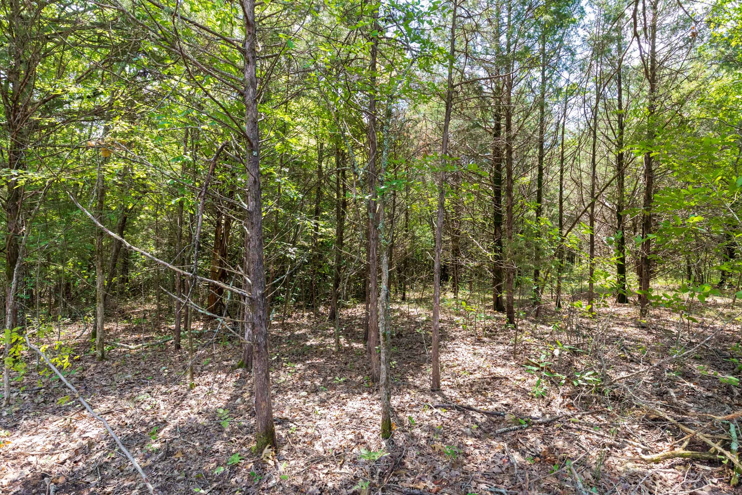 Heritage Bend Tract 31 photo 18