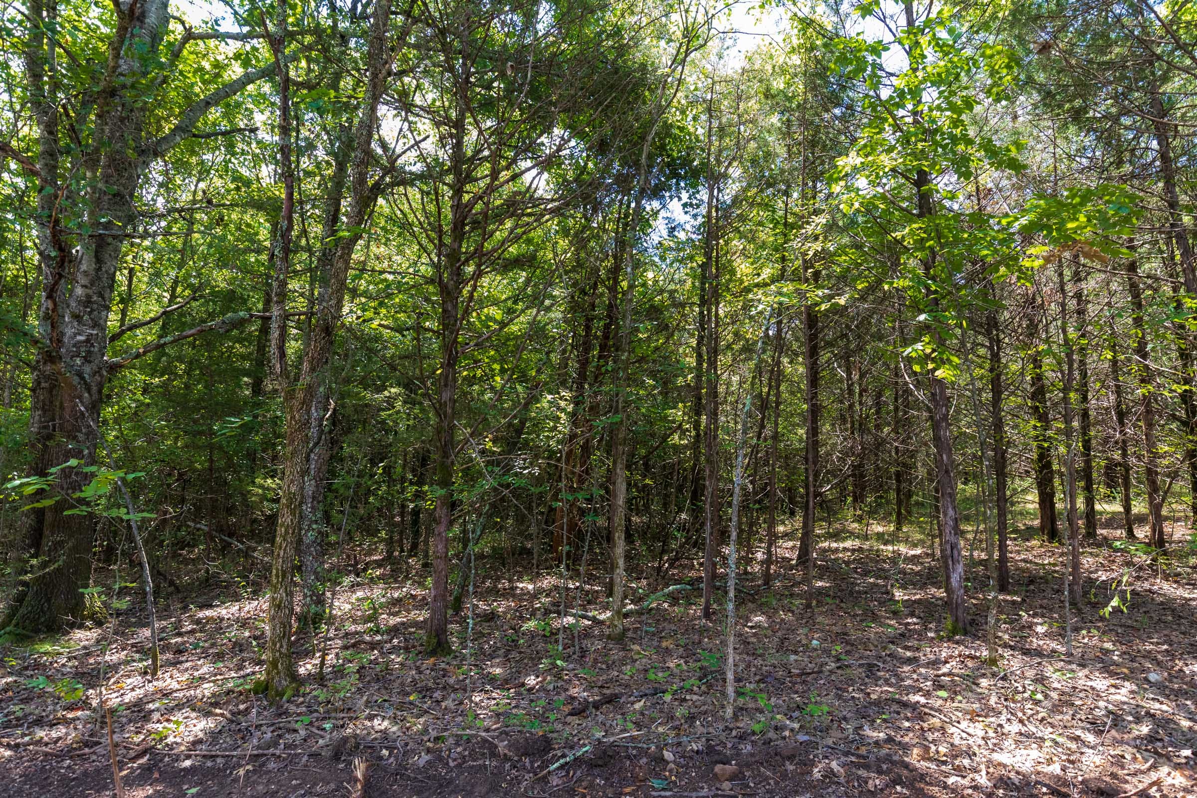 Heritage Bend Tract 31 photo 20