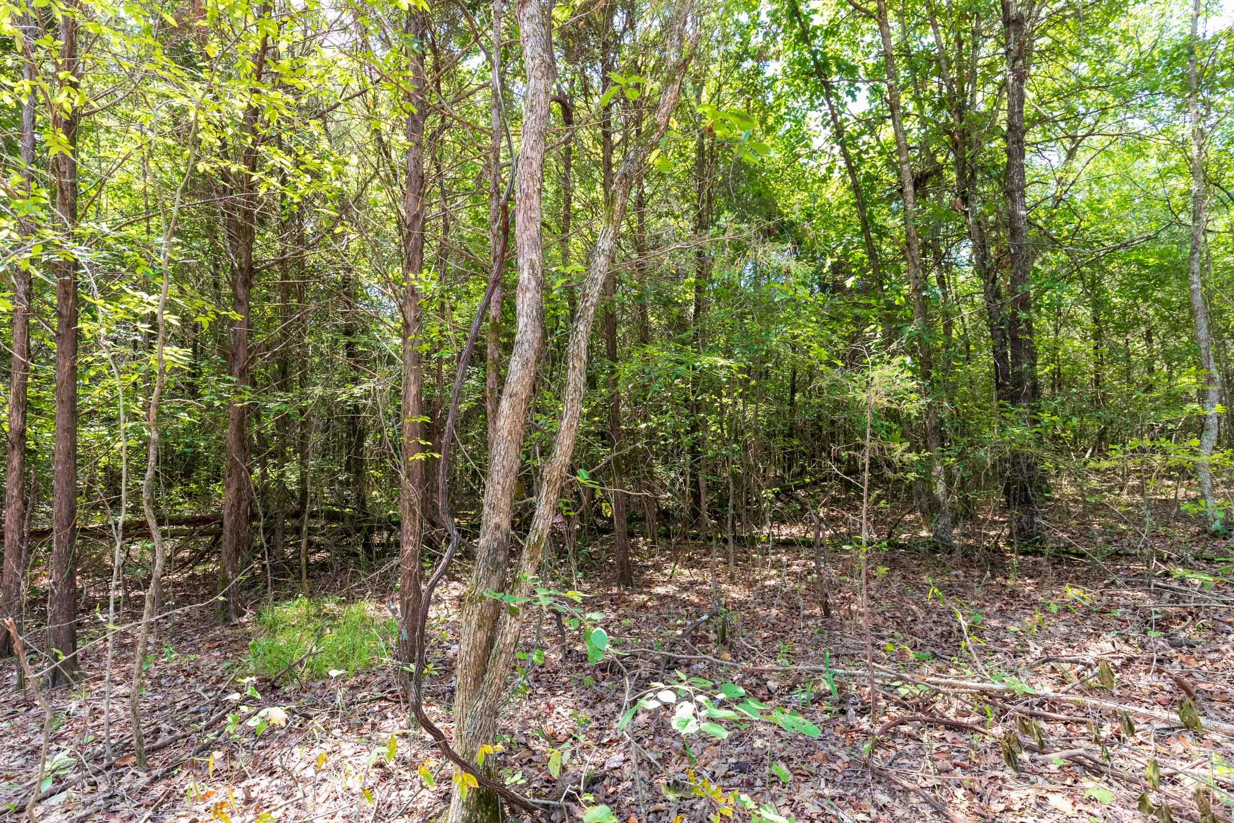 Heritage Bend Tract 31 photo 21